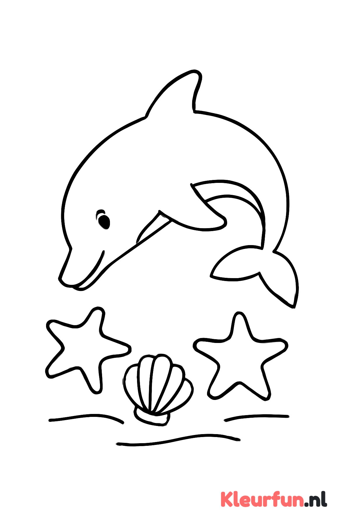 Dolfijn met zeesterren en schelp