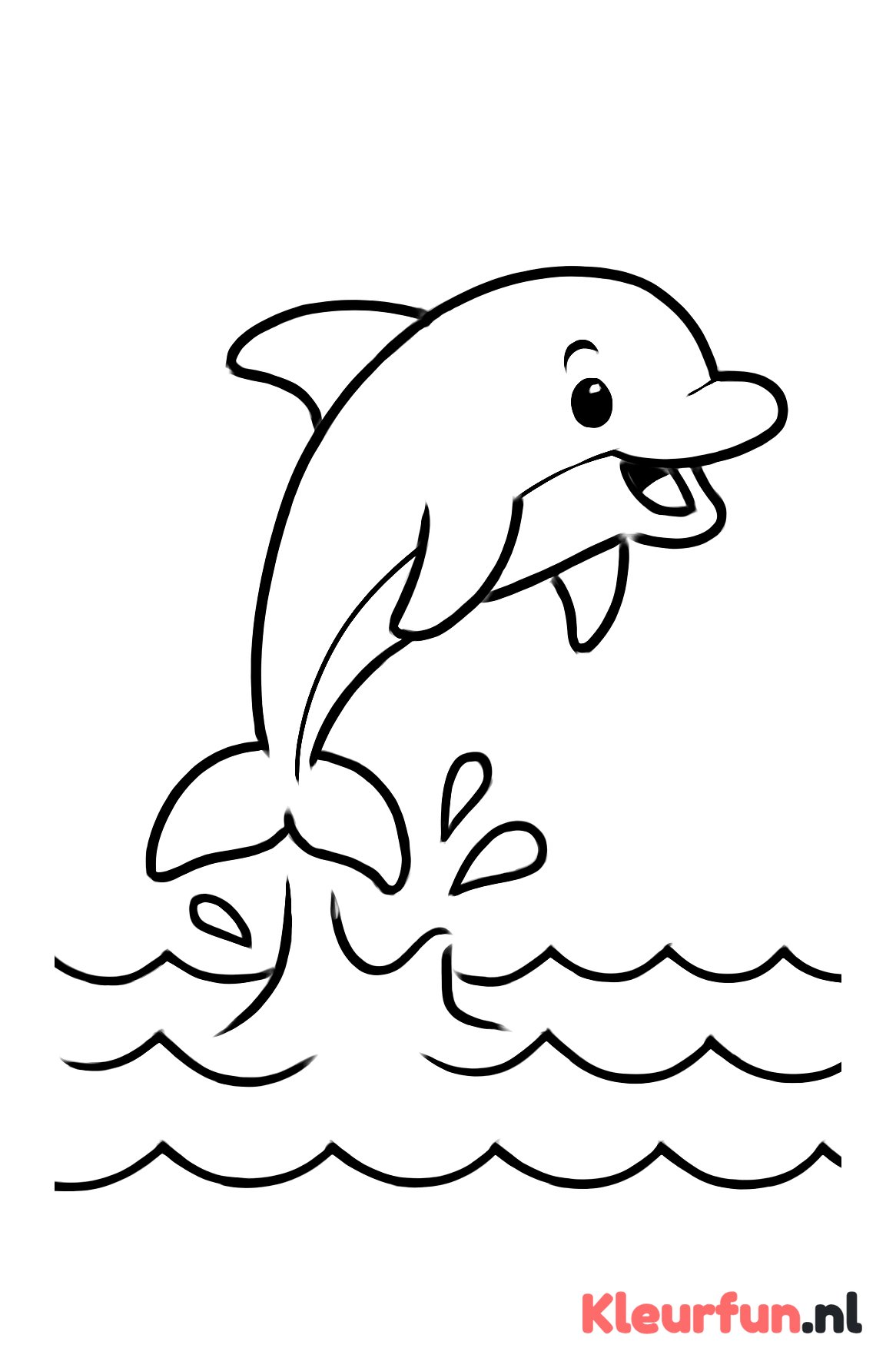 Dolfijn springt uit water