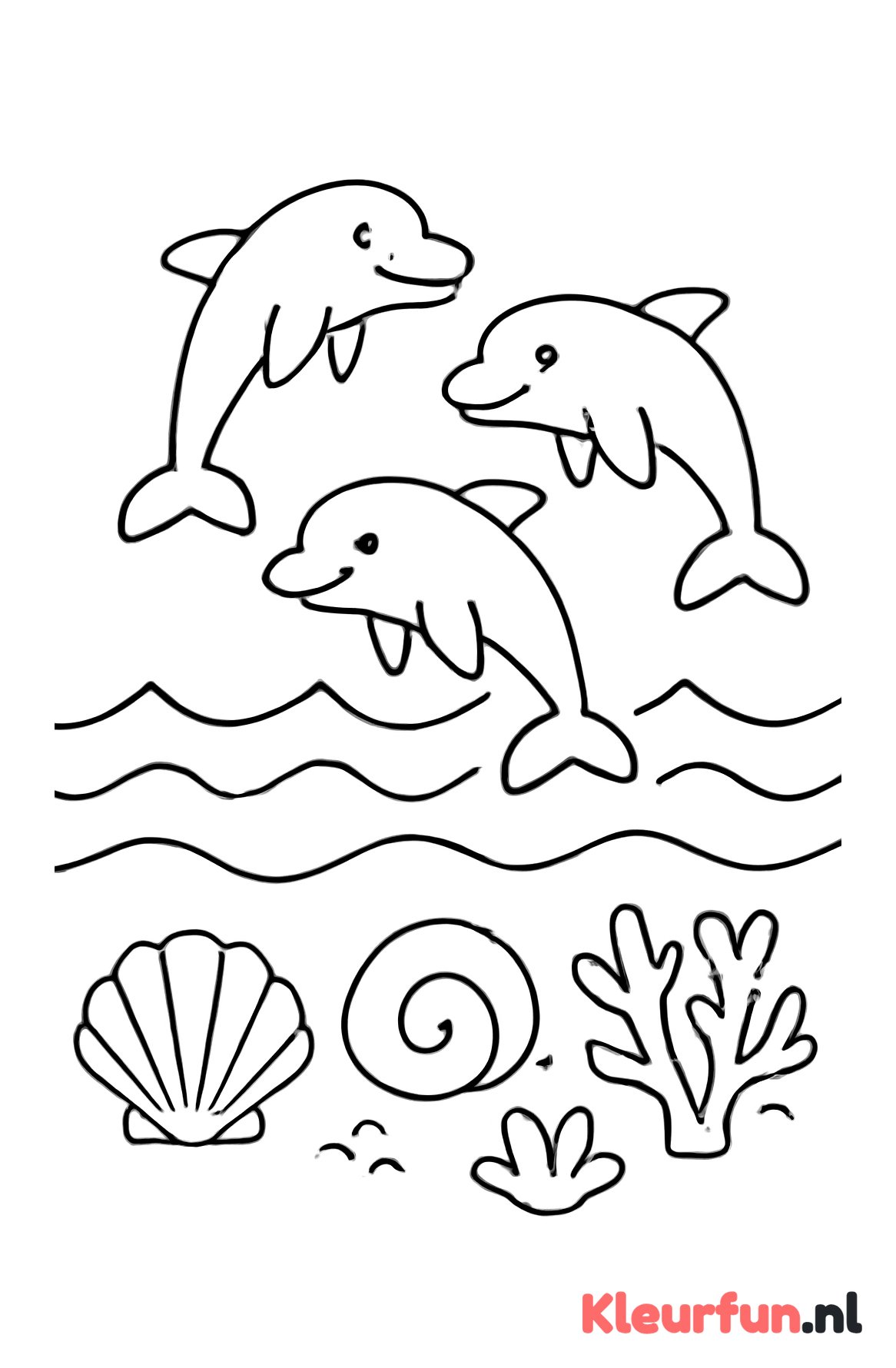 Dolfijnen en schelpen bij de oceaan