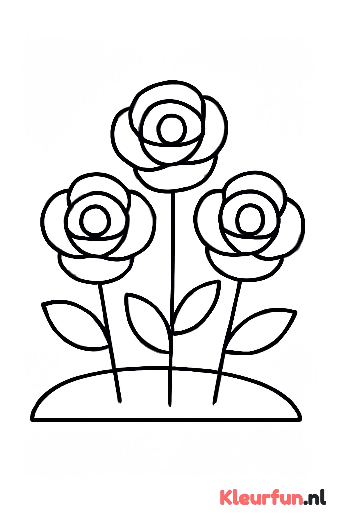 Drie brede rozen