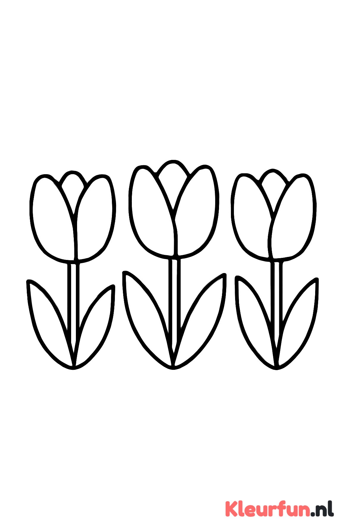 Drie eenvoudige tulpen