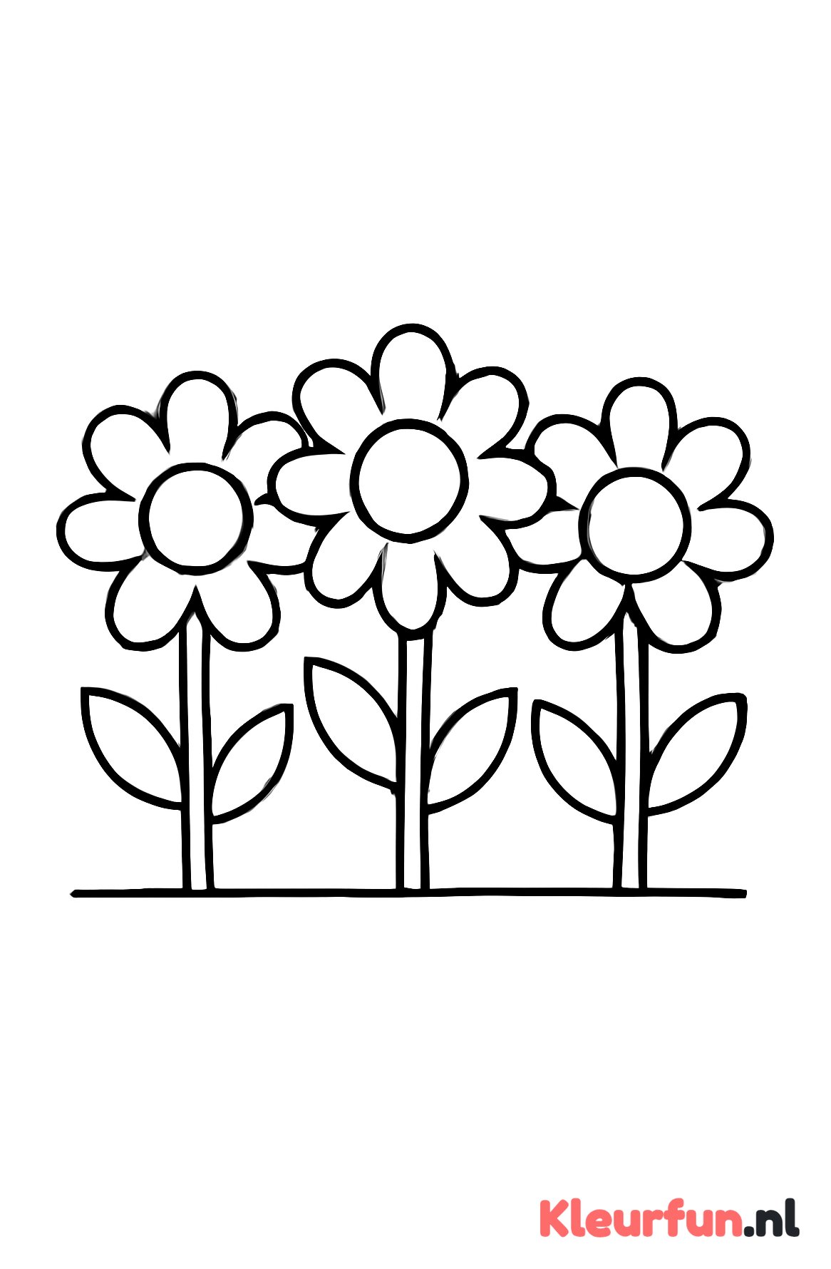 Drie grote bloemen
