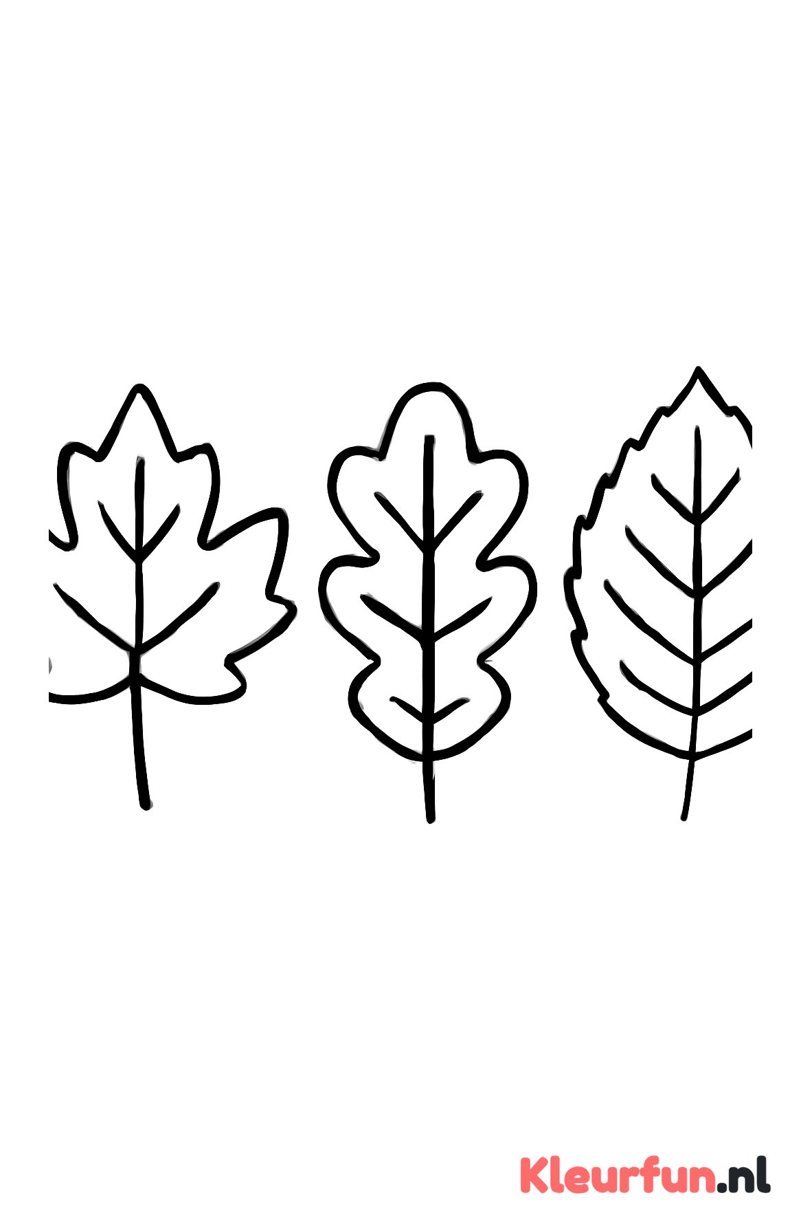 Drie grote herfstblaadjes