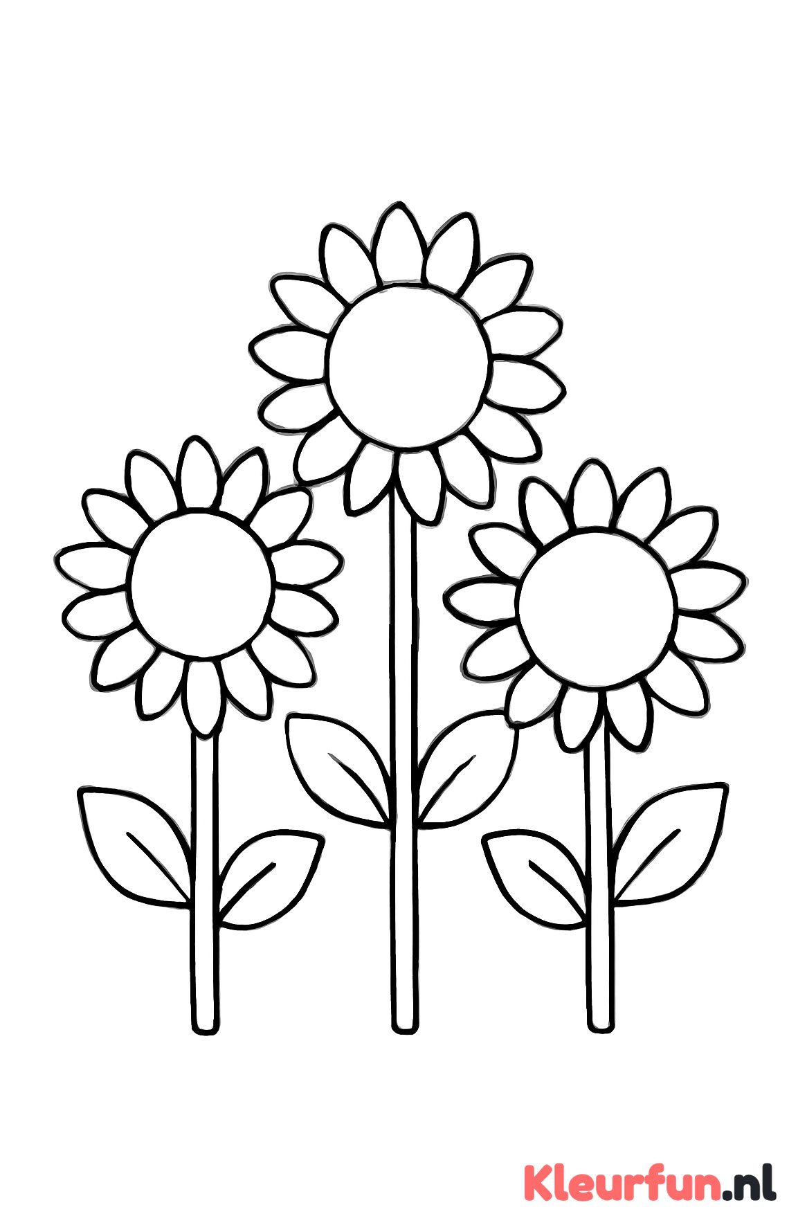 Drie grote zonnebloemen