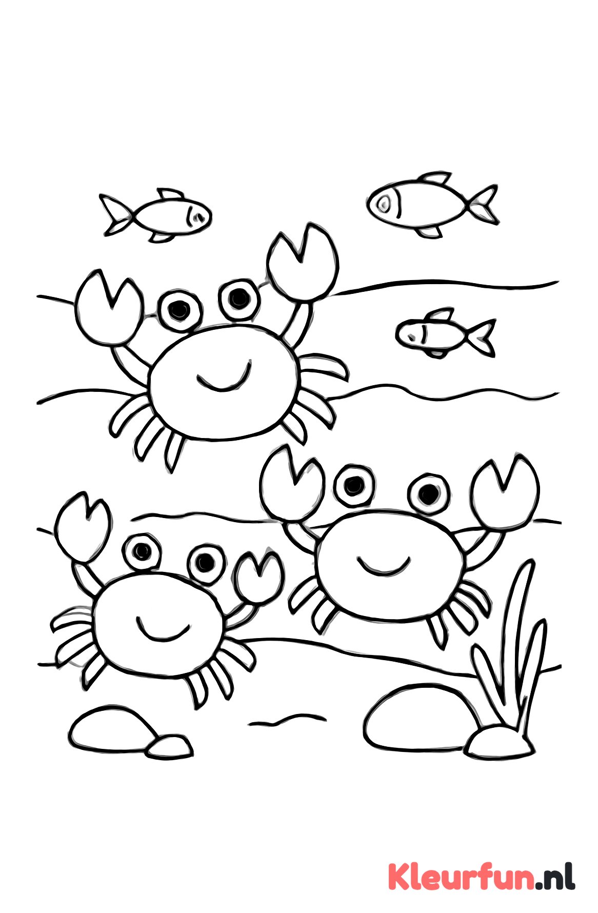 Drie krabben spelen in het water