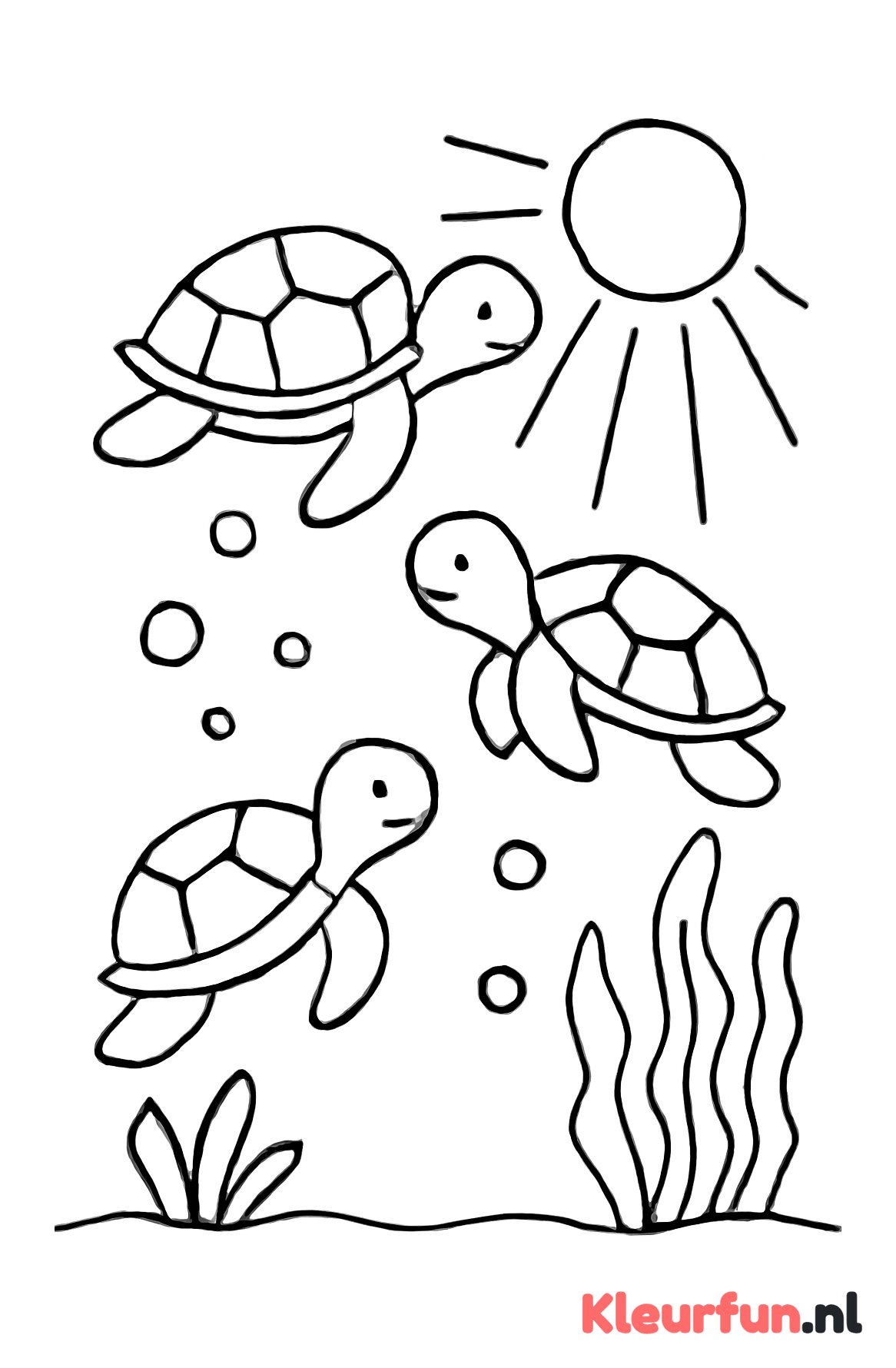 Drie schildpadden en zonnestralen