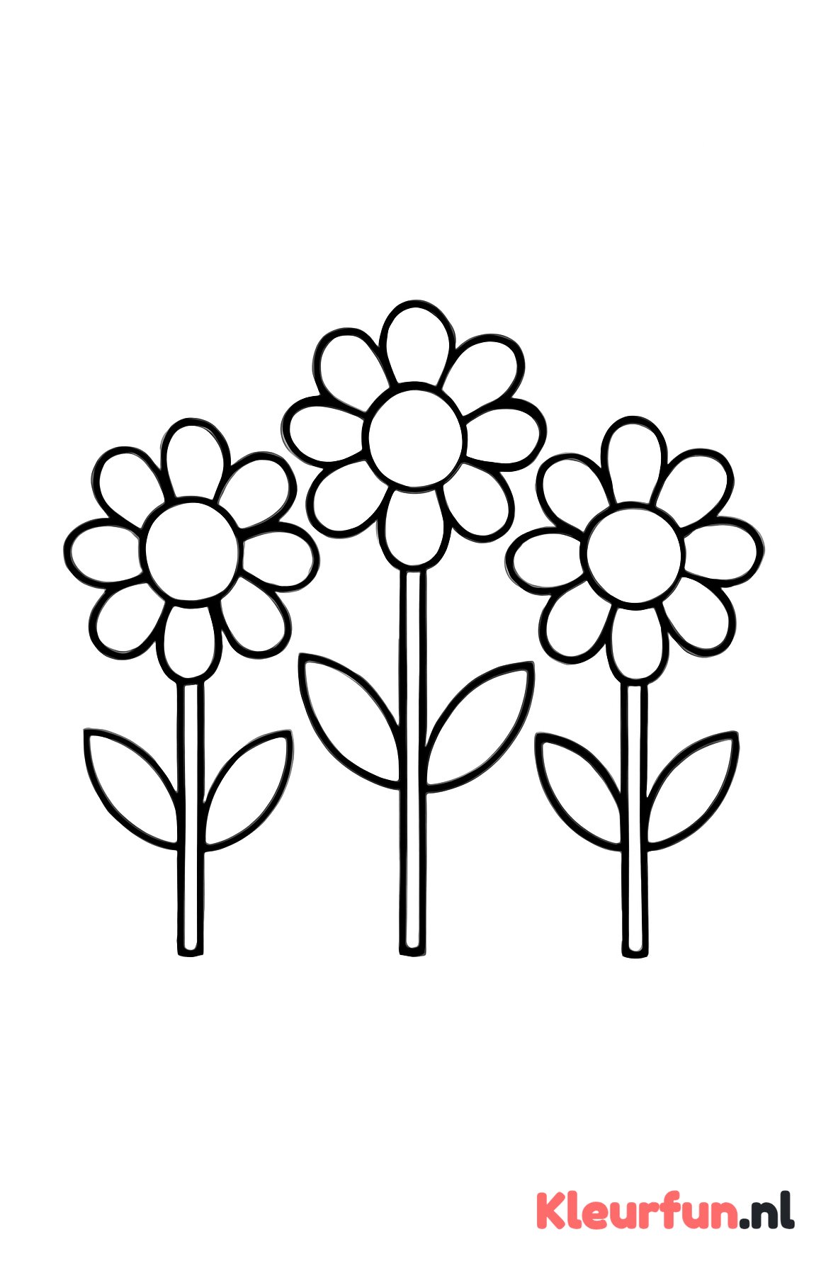 Drie vrolijke bloemen naast elkaar