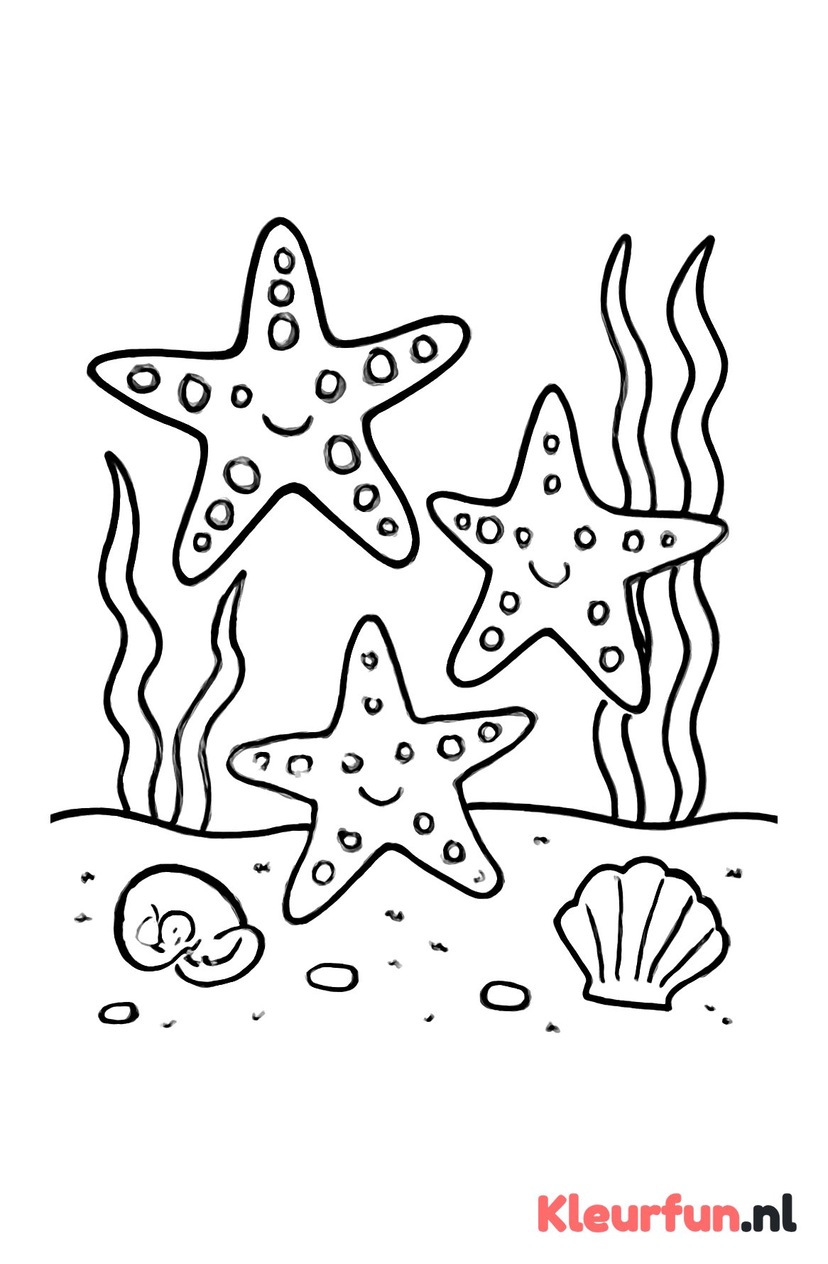 Drie zeesterren op zandbodem