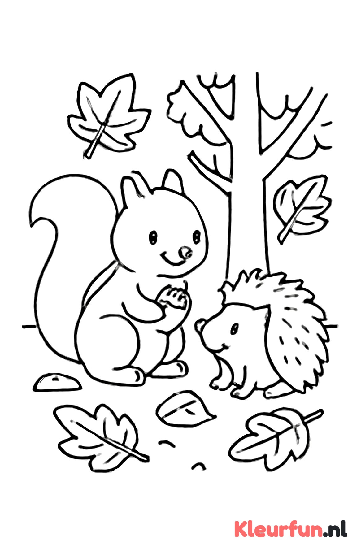 Eekhoorn en egel in het herfstbos