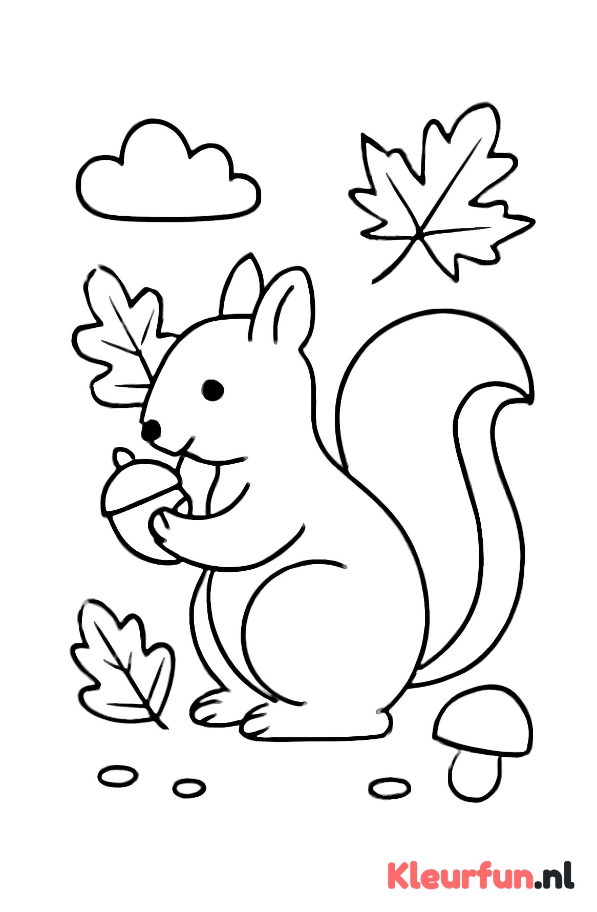 Eekhoorn met noot in de herfst