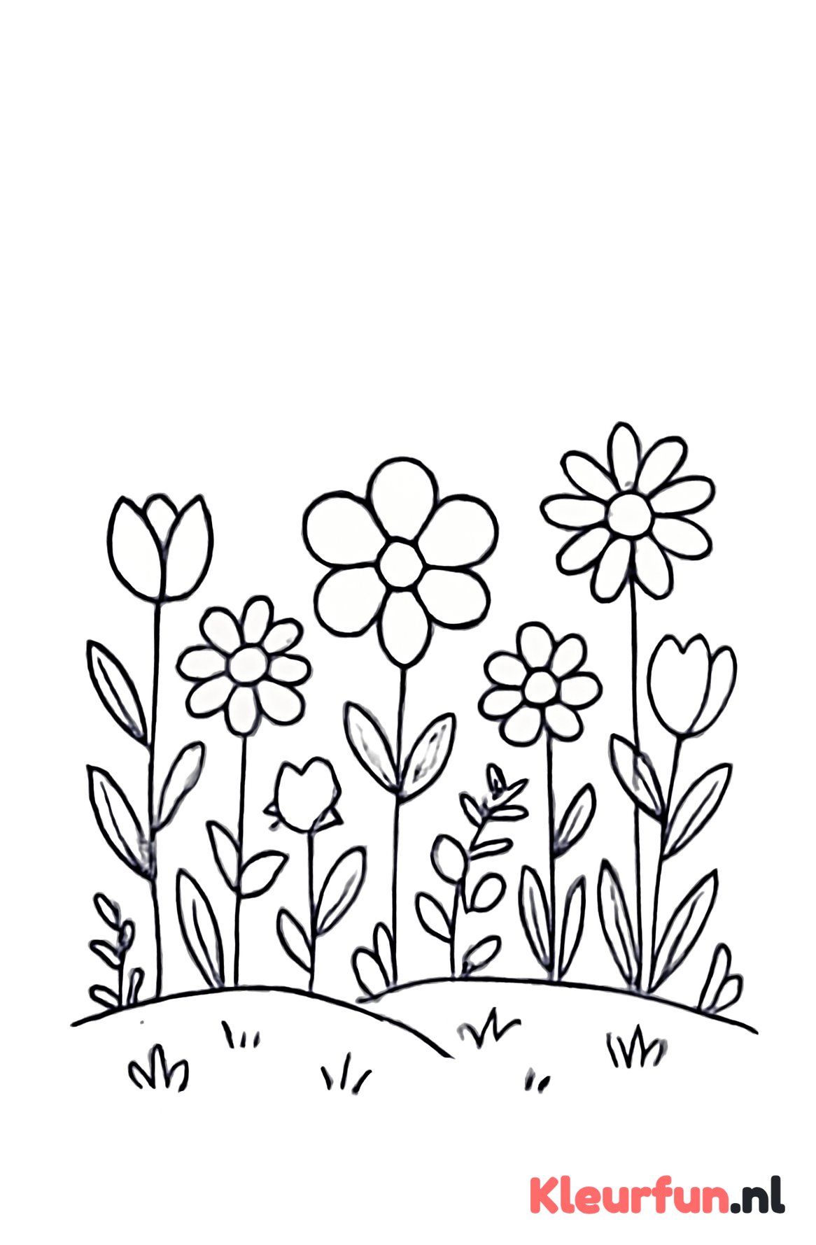 Eenvoudig bloemveld