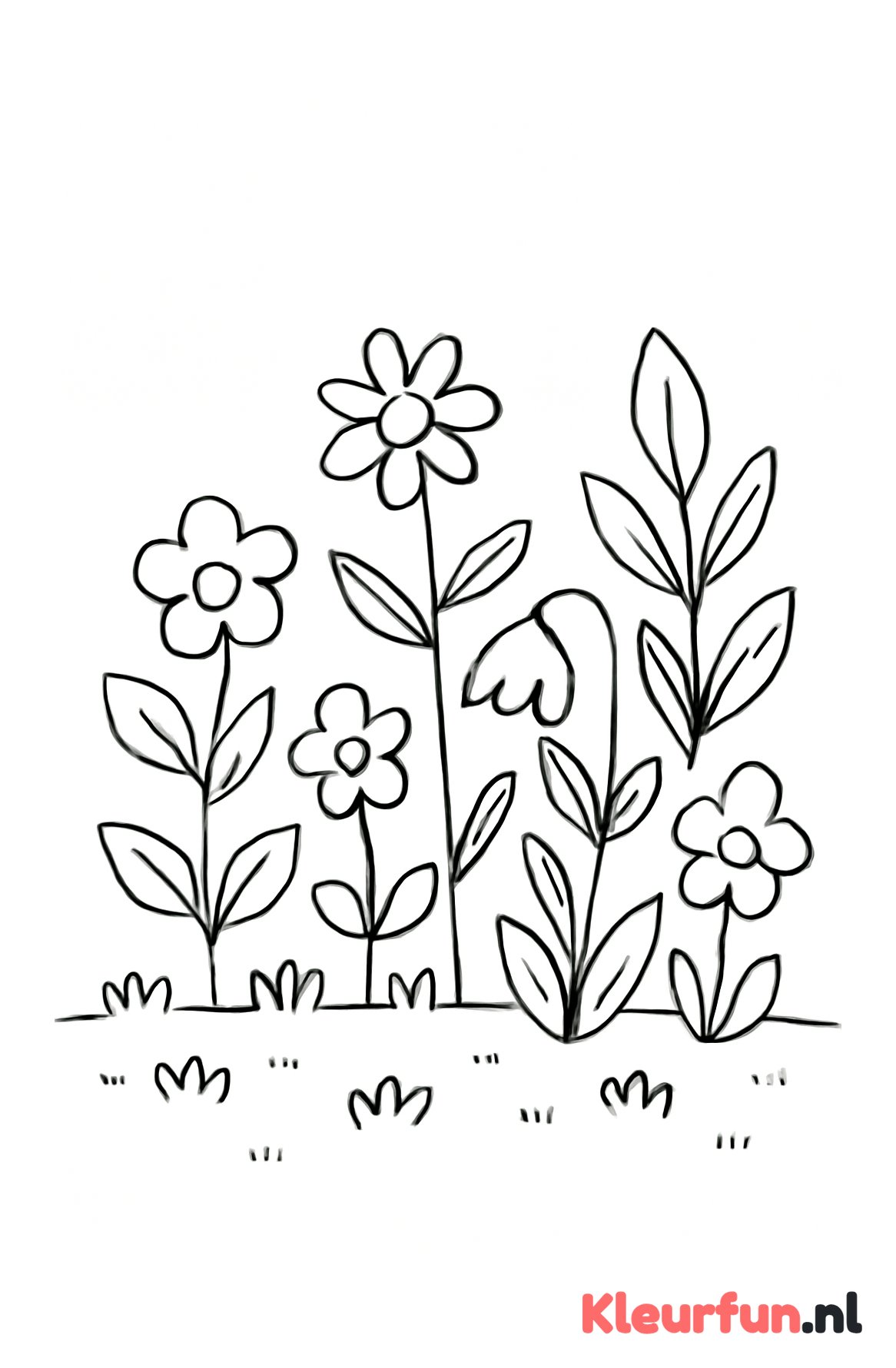 Eenvoudige tuinplantjes
