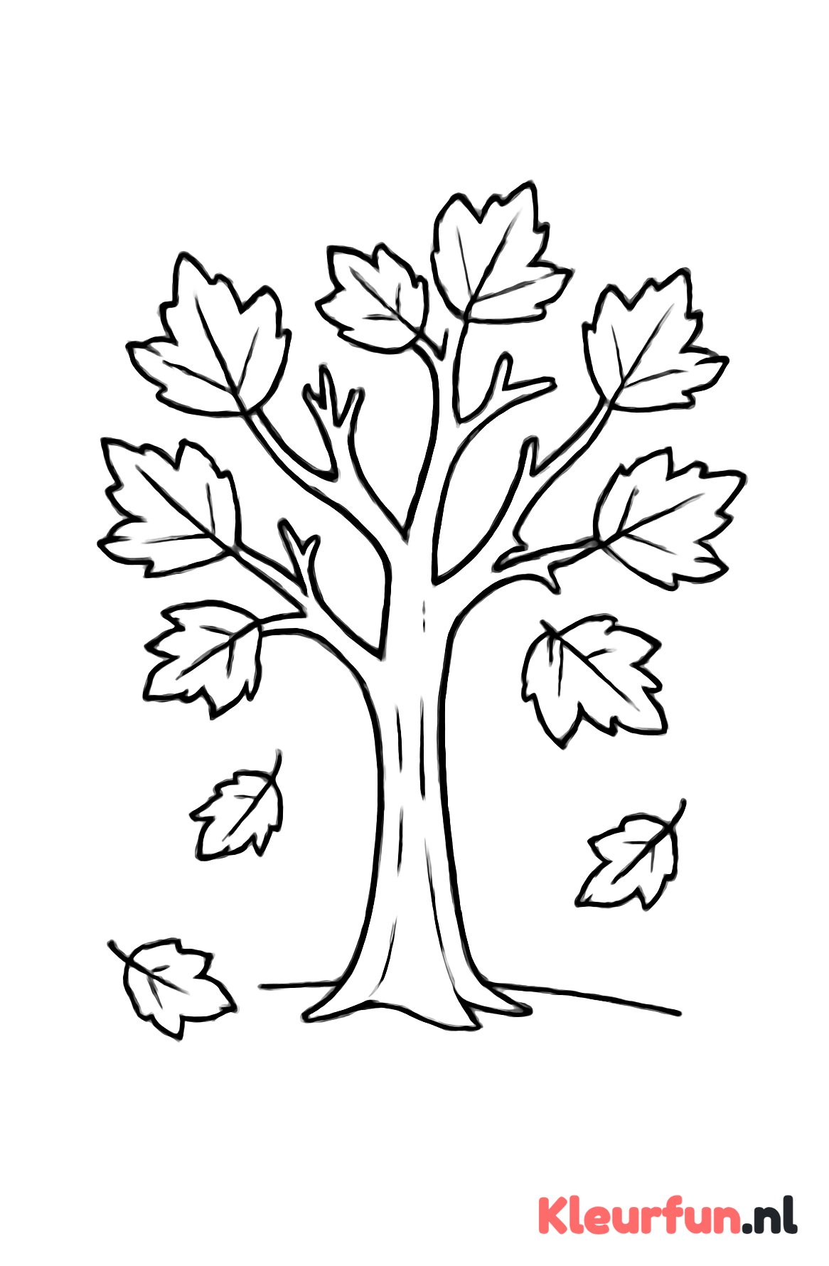 Eenzame herfstboom