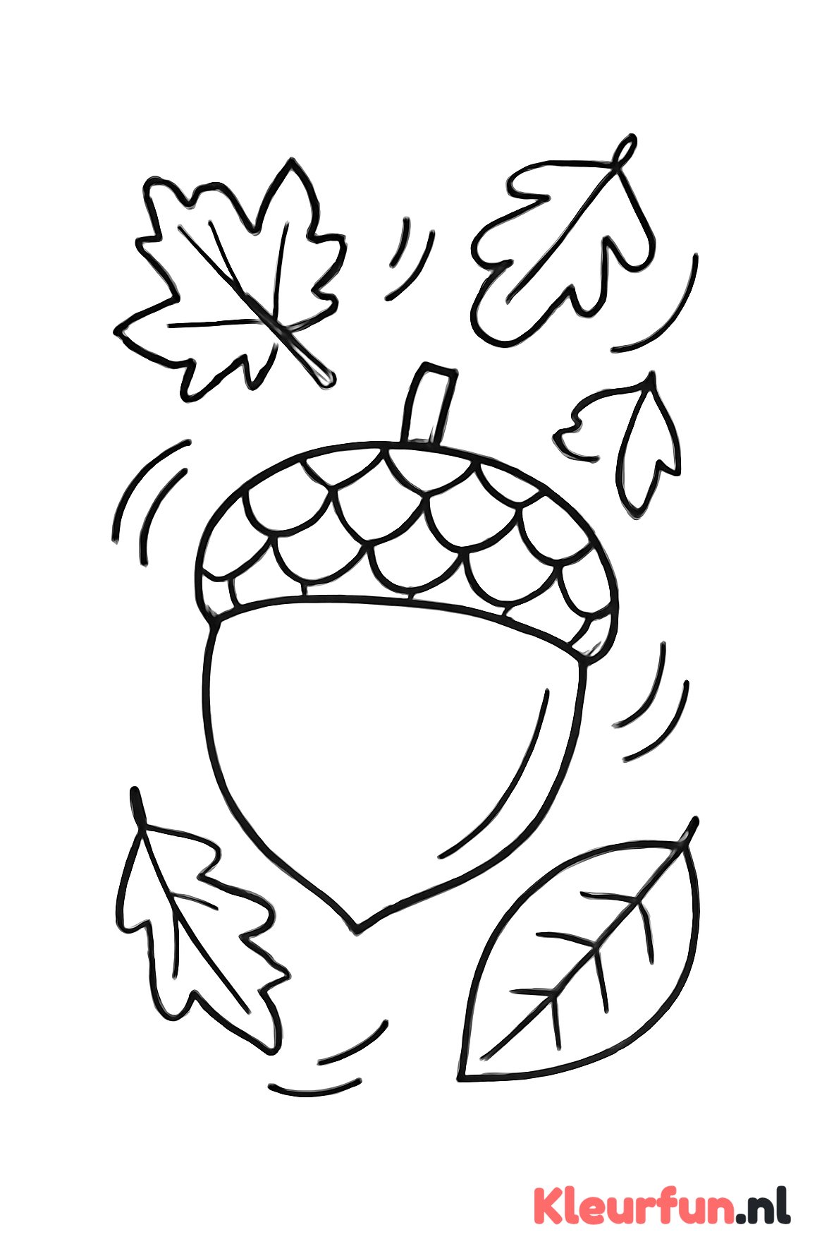 Eikel en herfstblaadjes