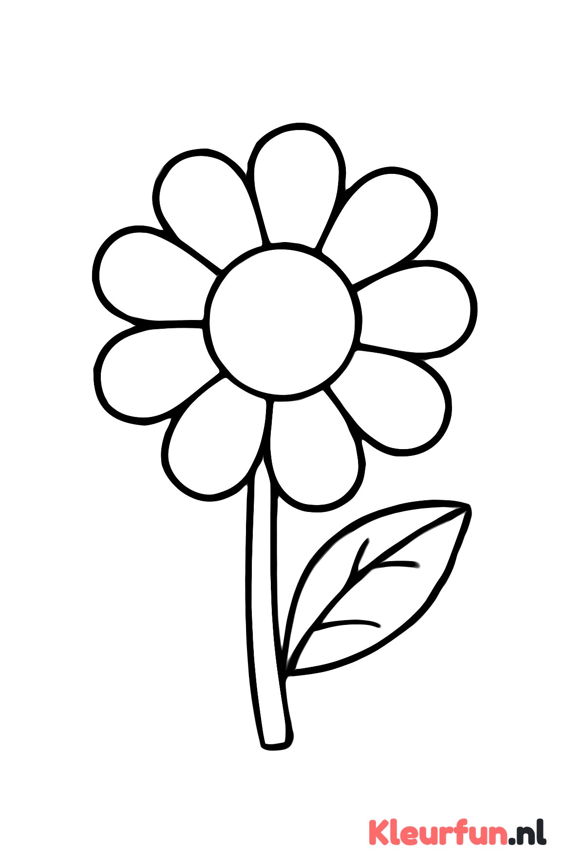 Enkele grote bloem
