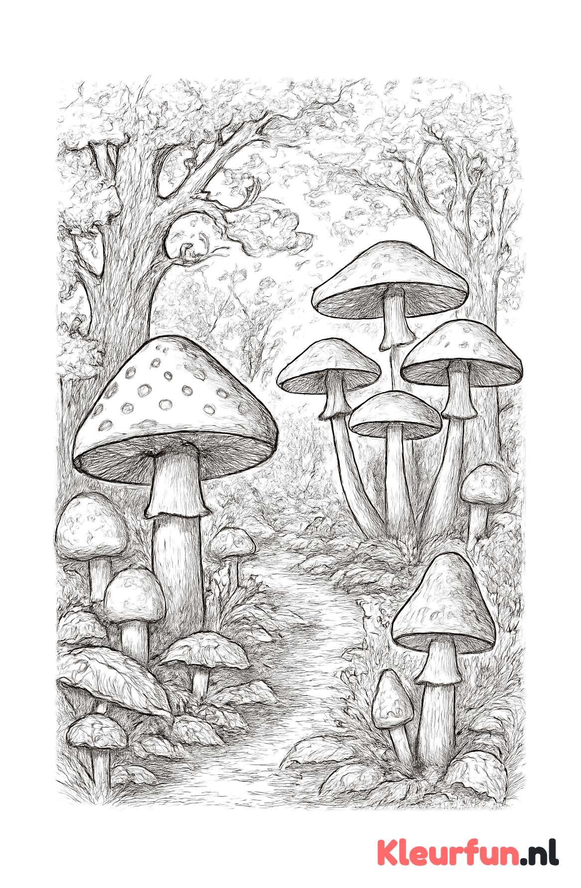 Fantasierijk Bos met Paddenstoelen