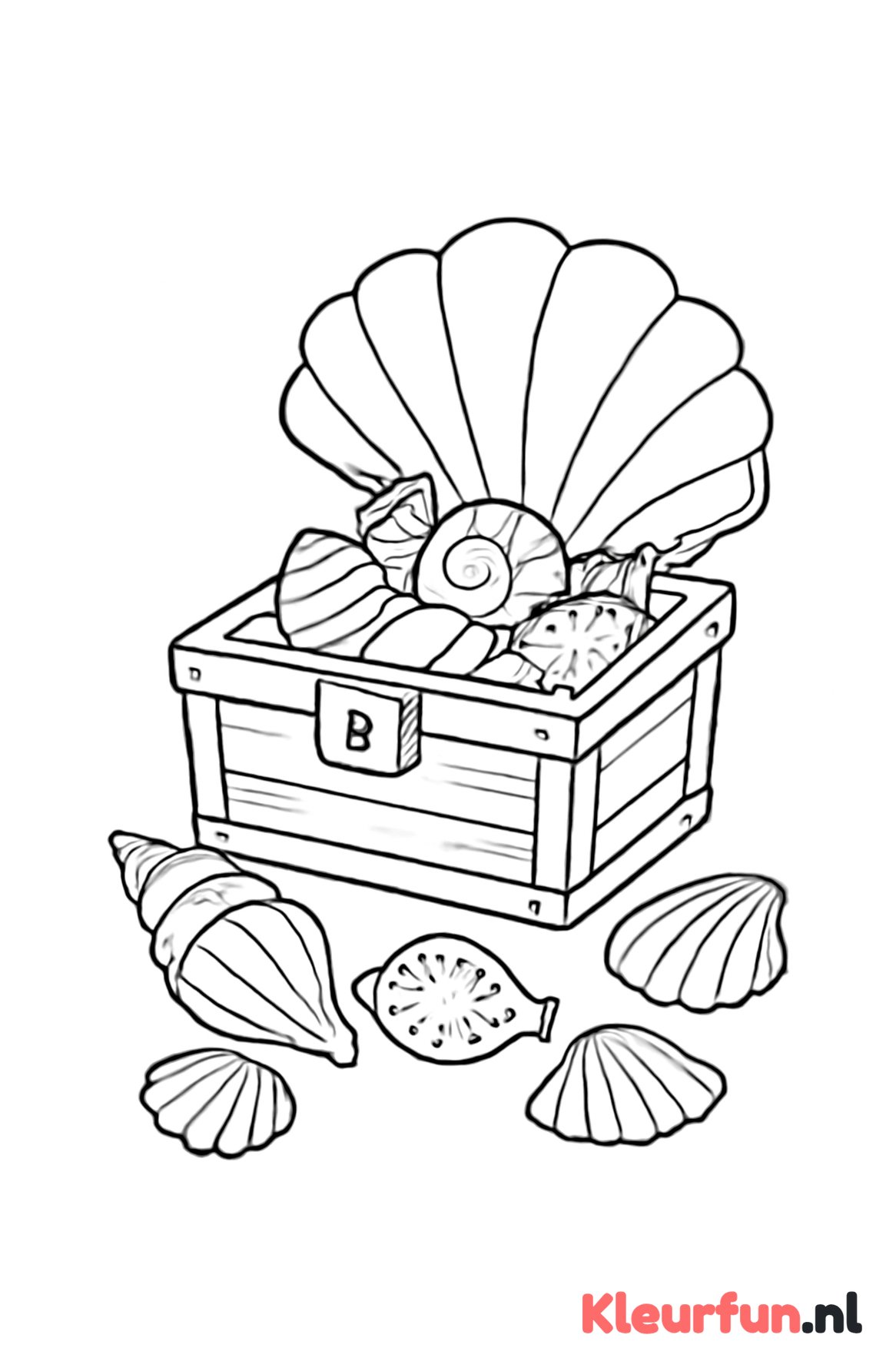 Fantasierijke schelpenschatkist