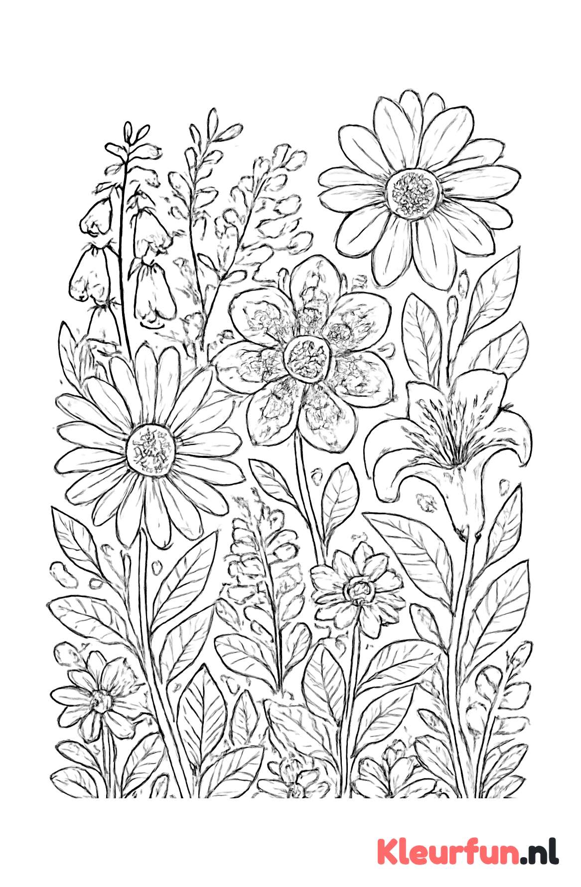 Gedetailleerde bloemrijke tuin