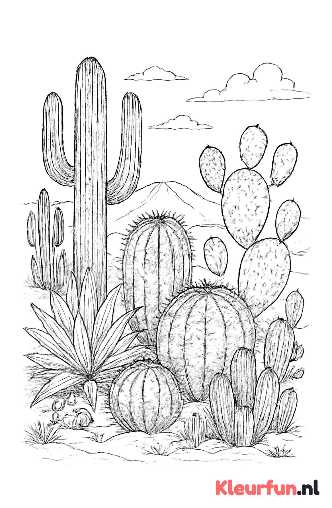 Gedetailleerde cactussen in de woestijn