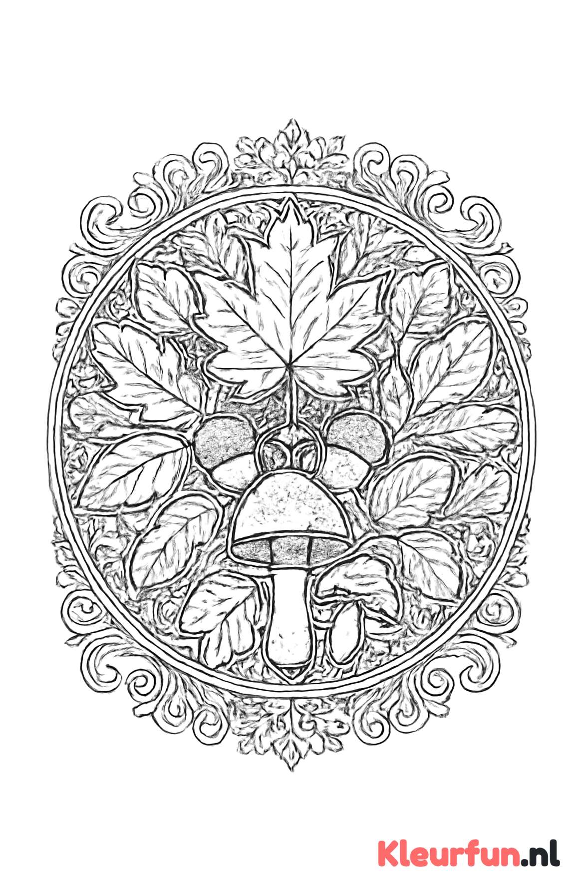 Gedetailleerde herfst mandala met bladeren en eikels