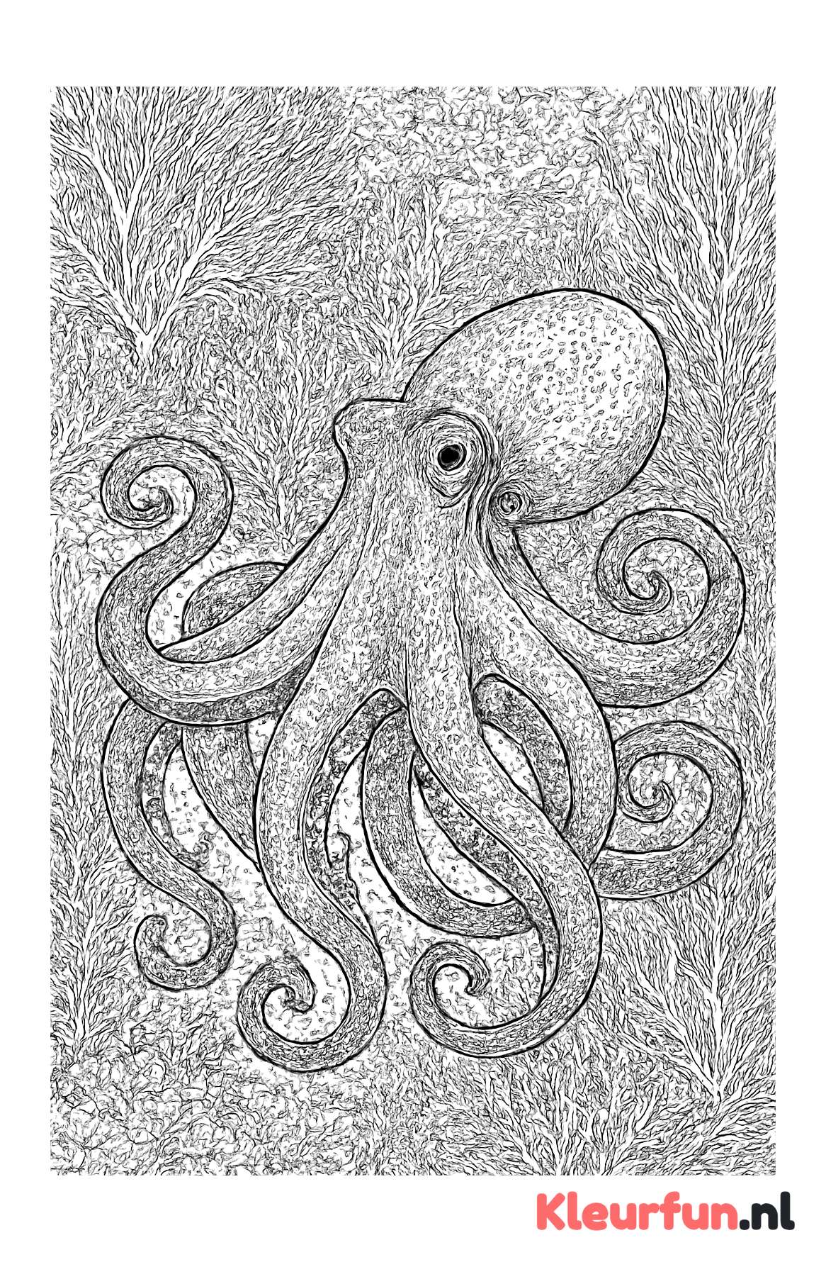 Gedetailleerde octopus onderwater