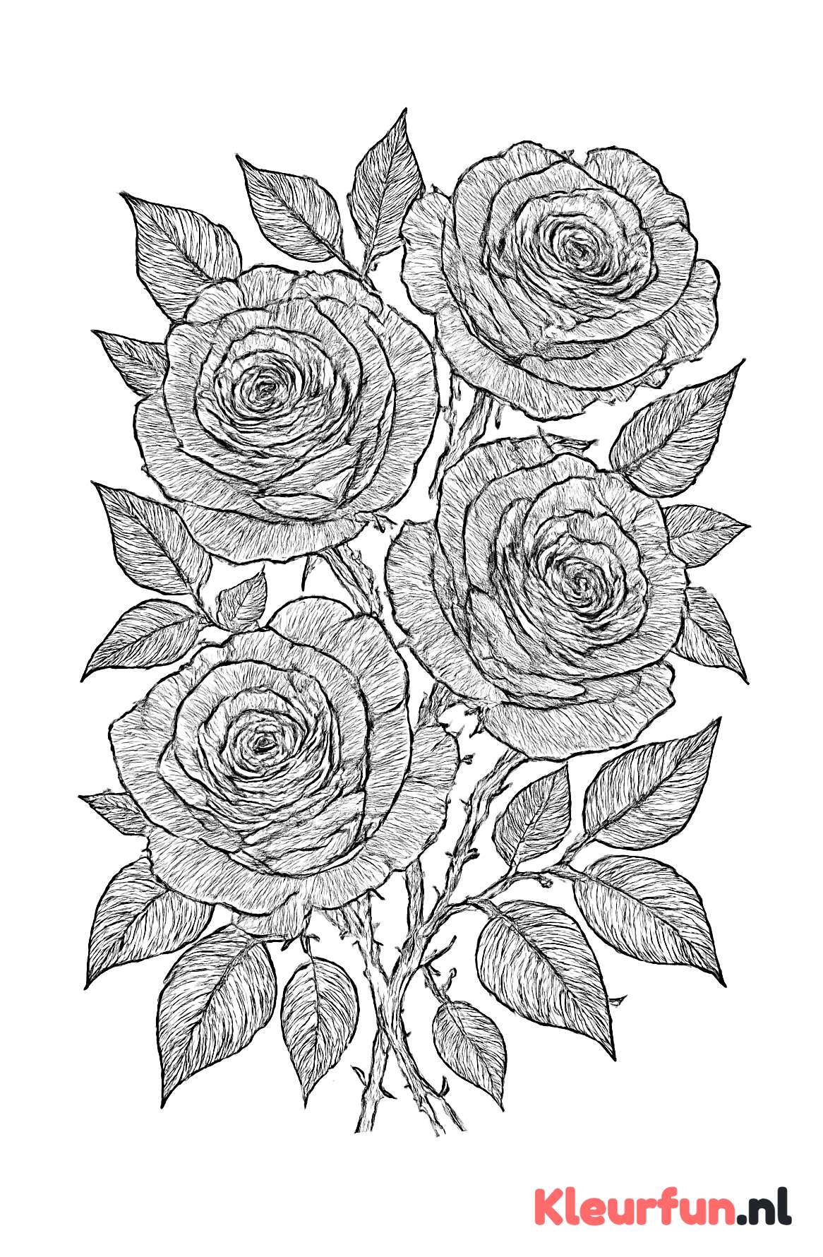 Gedetailleerde rozen bos