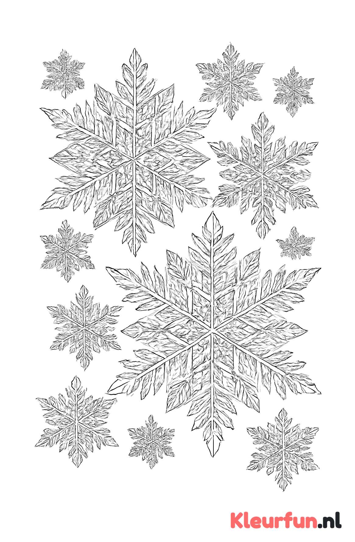 Gedetailleerde geometrische sneeuwvlokkenkleurplaat