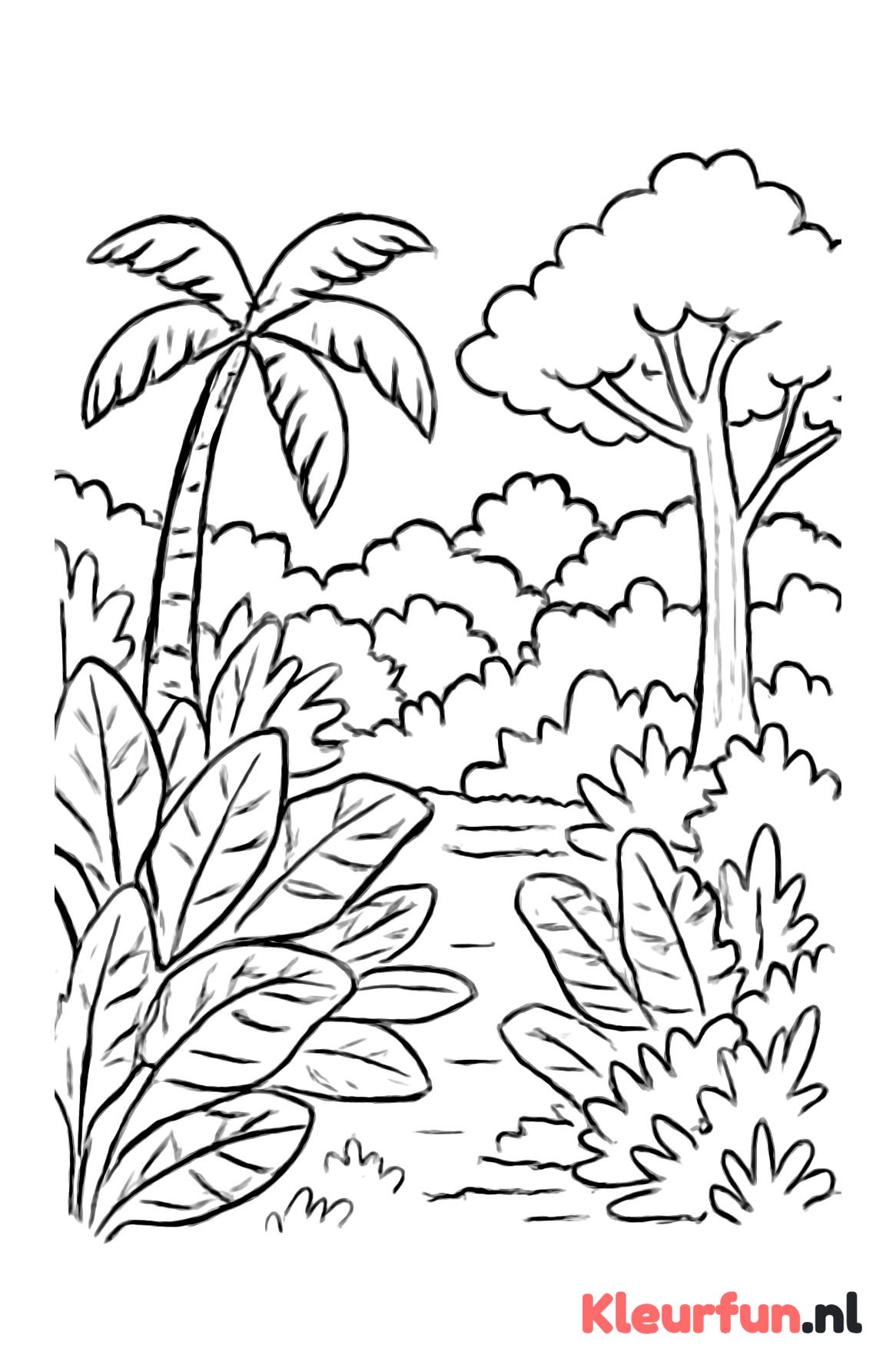 Jungle met gelaagde vegetatie