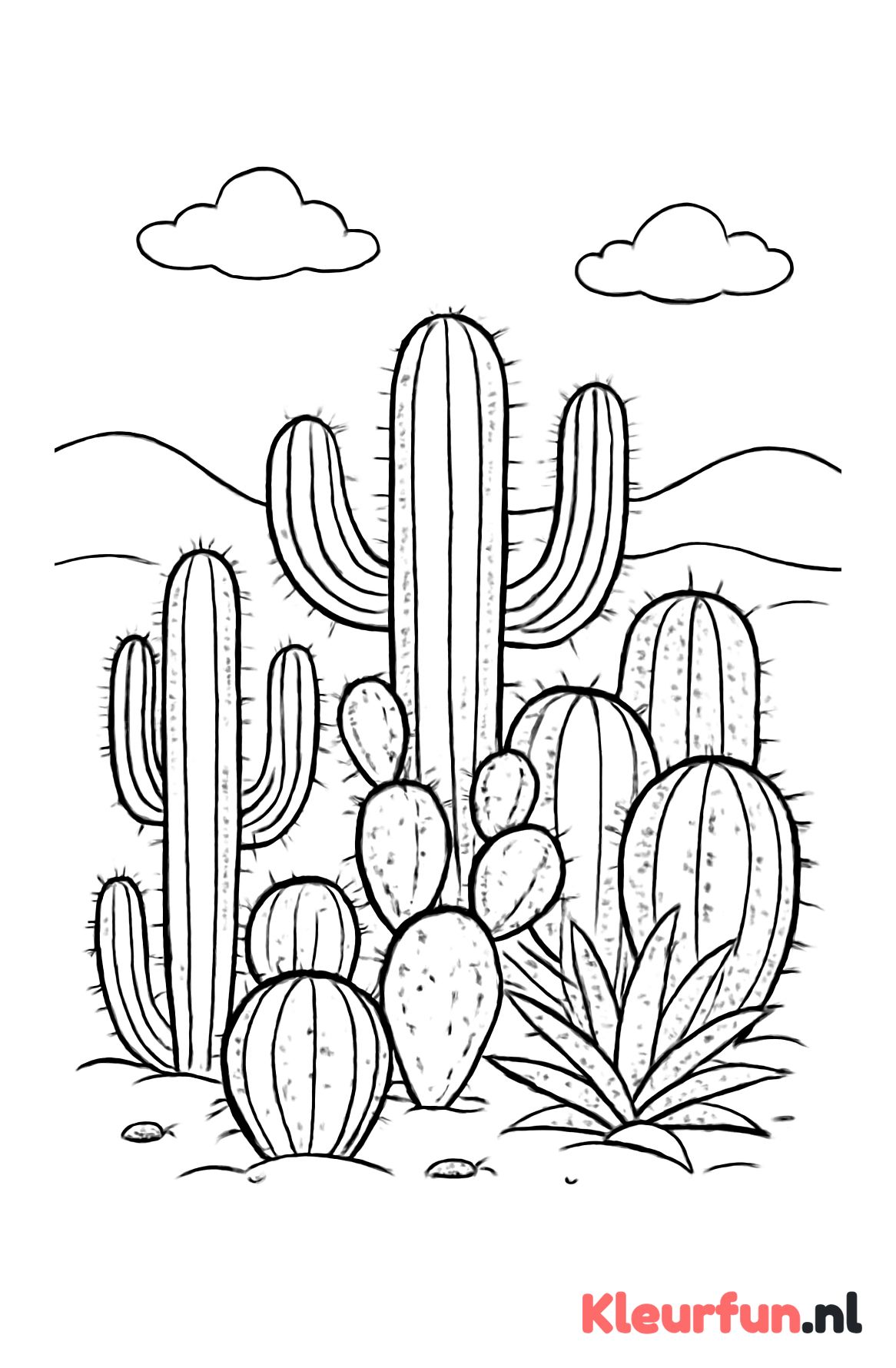 Groep cactussen in de woestijn
