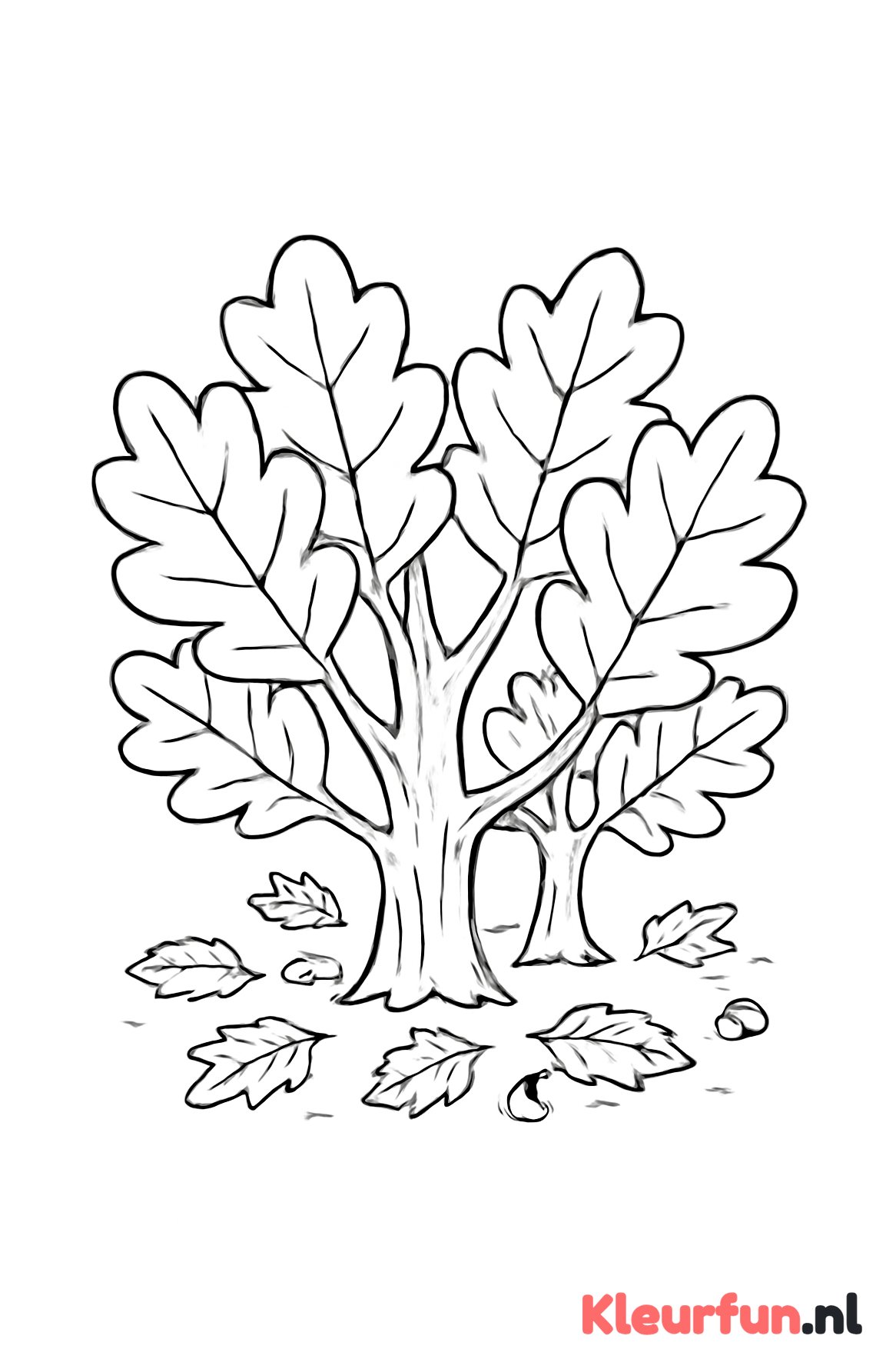 Groep herfstbomen met eikels