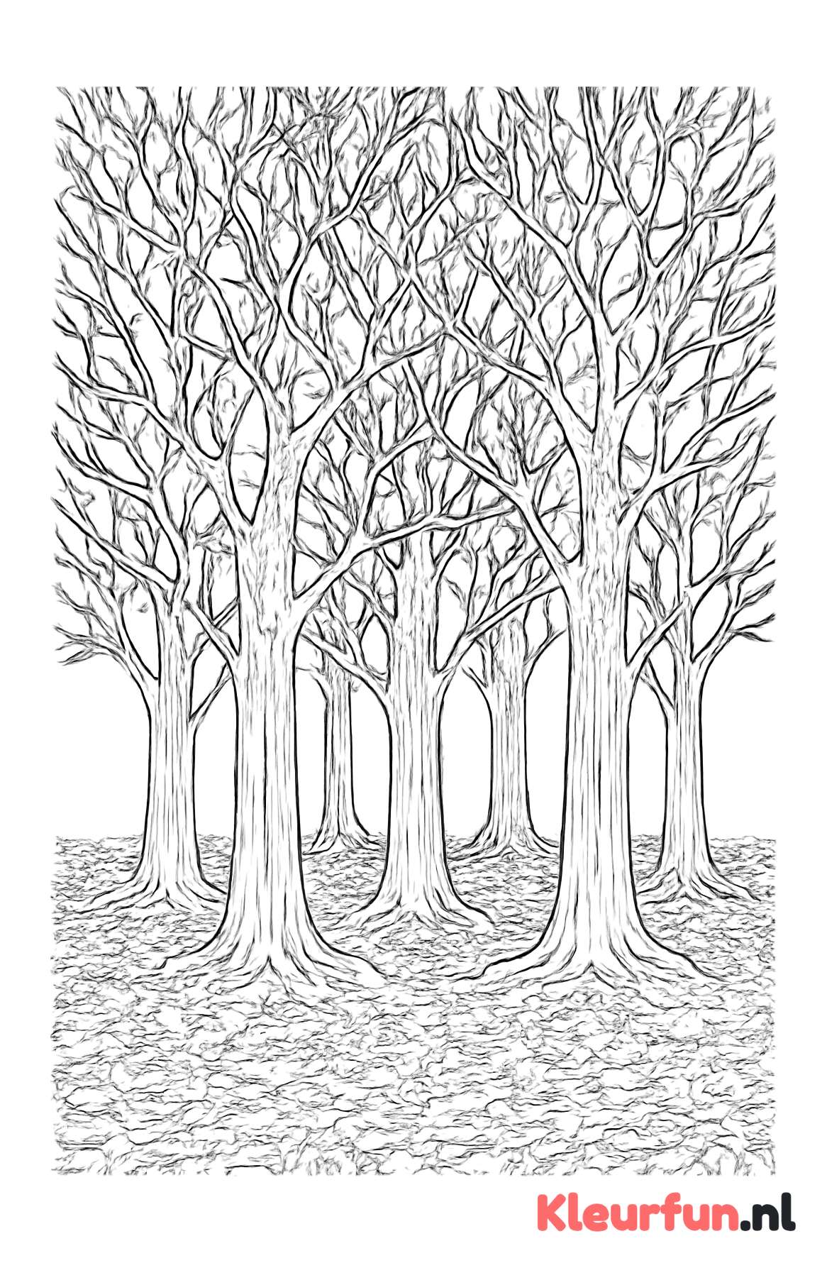 Groep kale bomen in bos