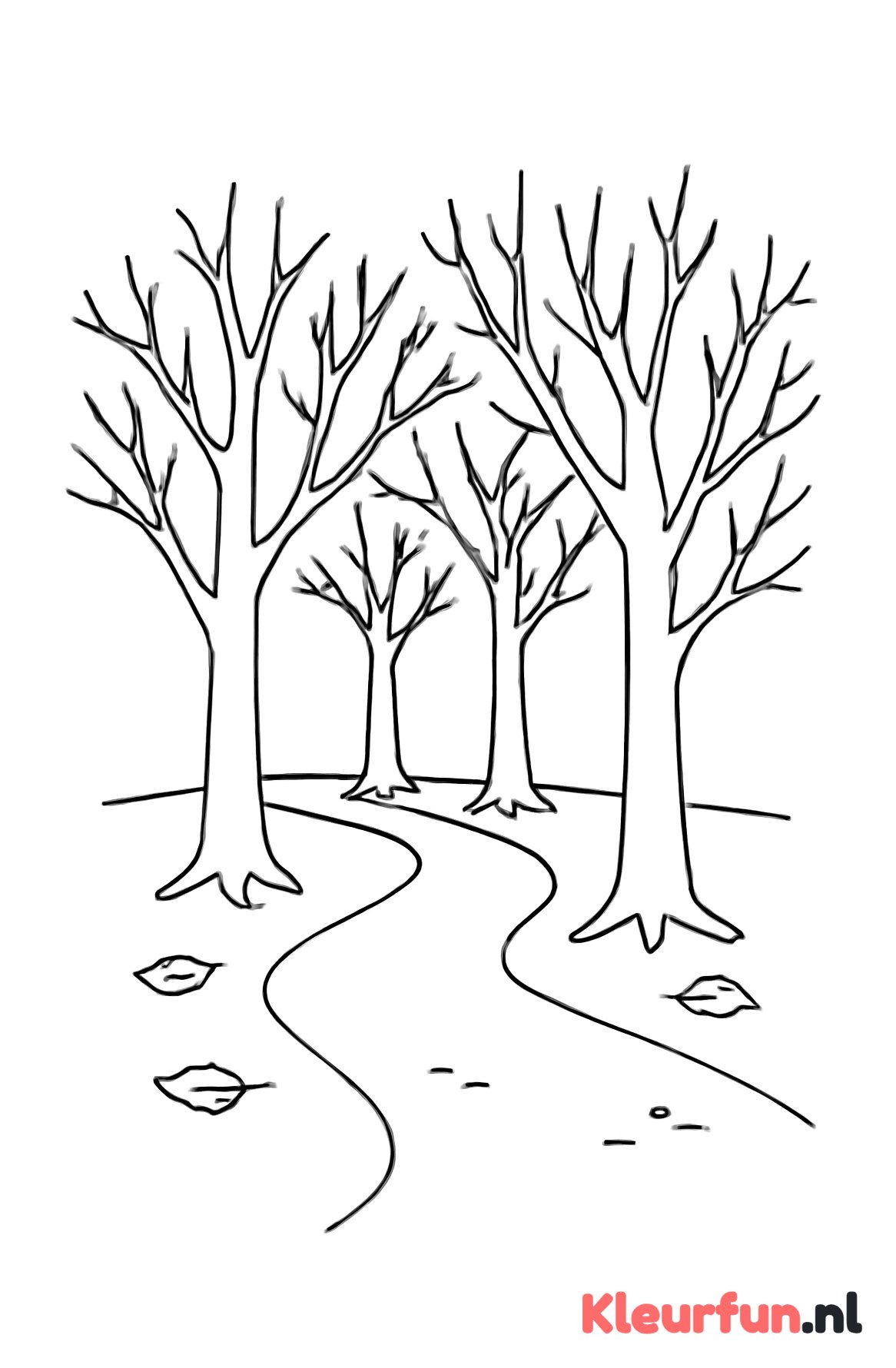 Groep kale bomen langs wandelpad