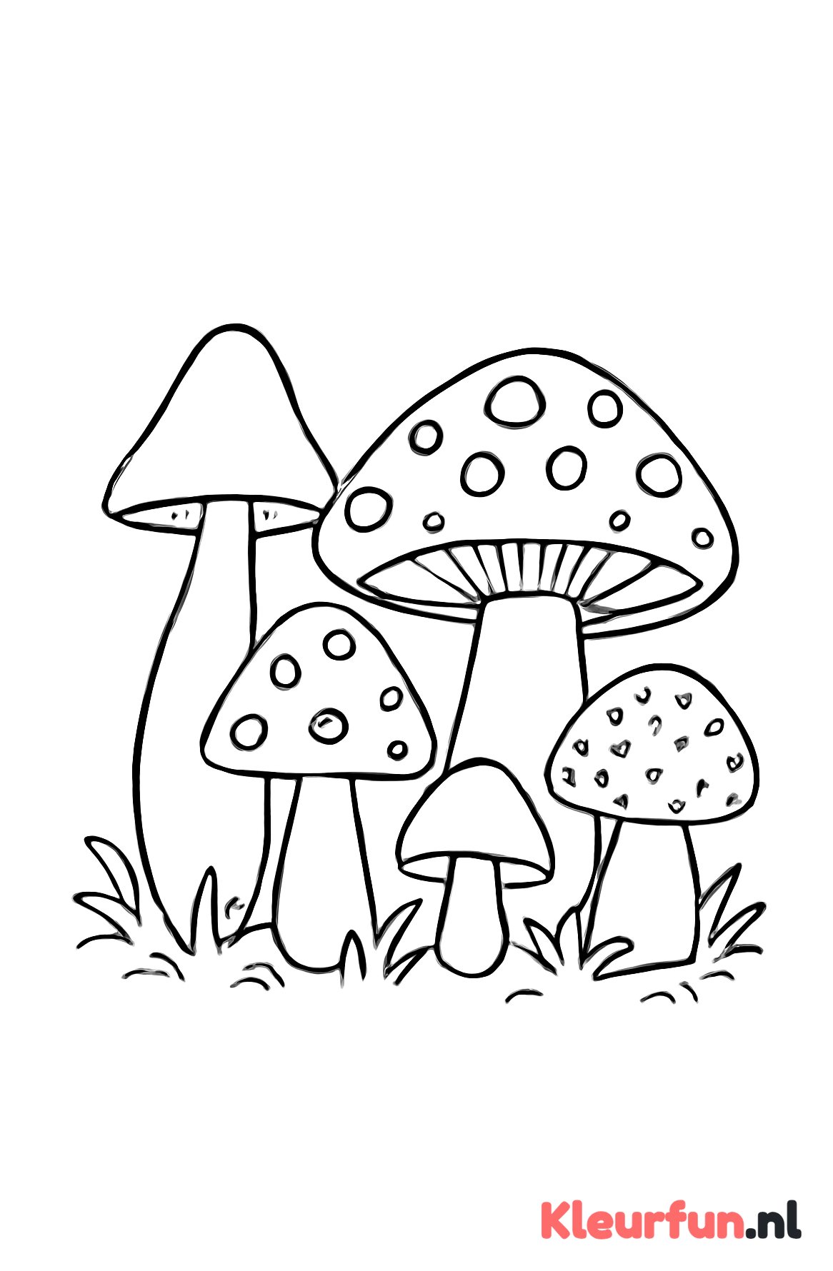 Groep paddenstoelen