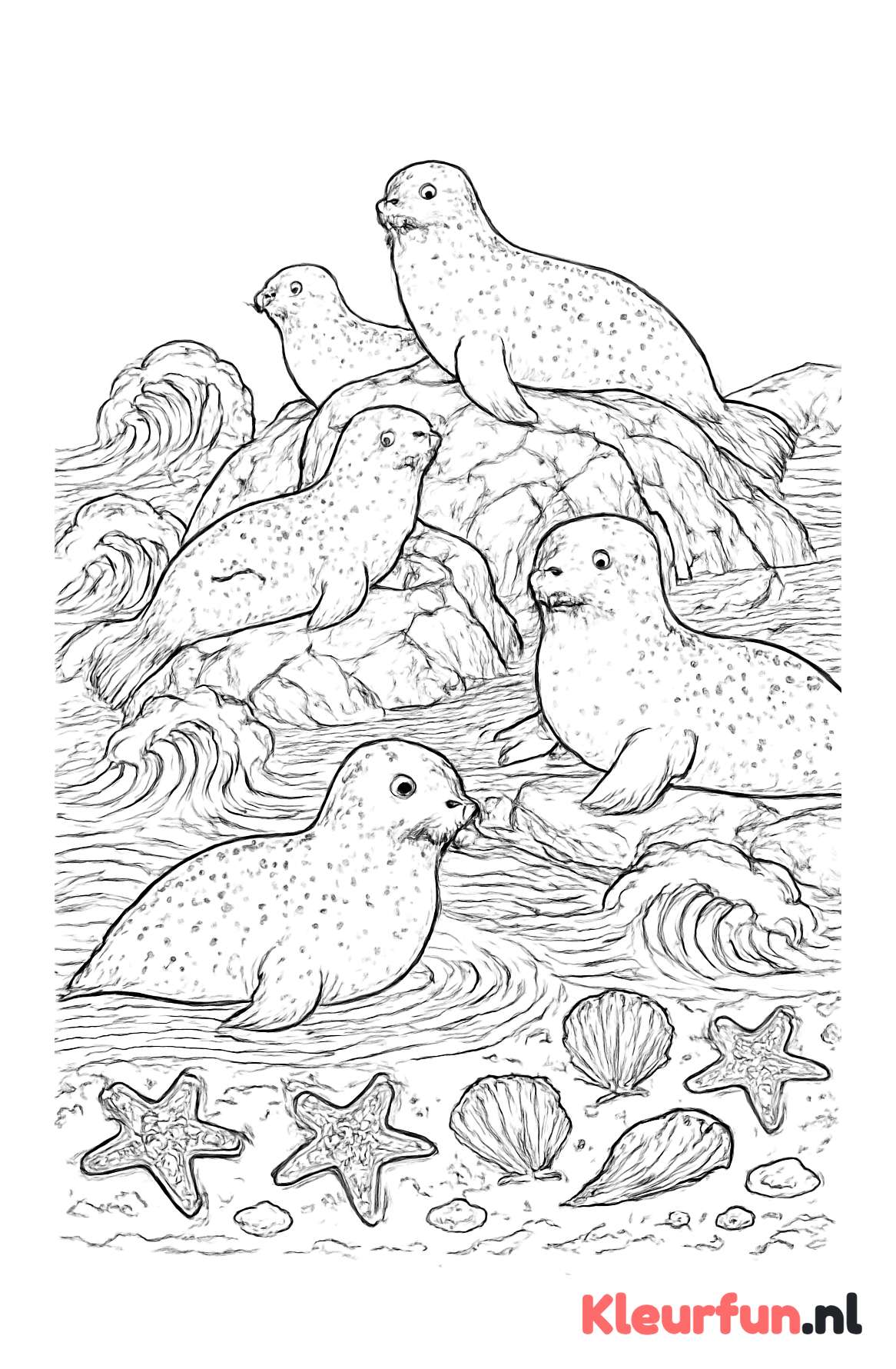Groep zeehonden op rotspartij