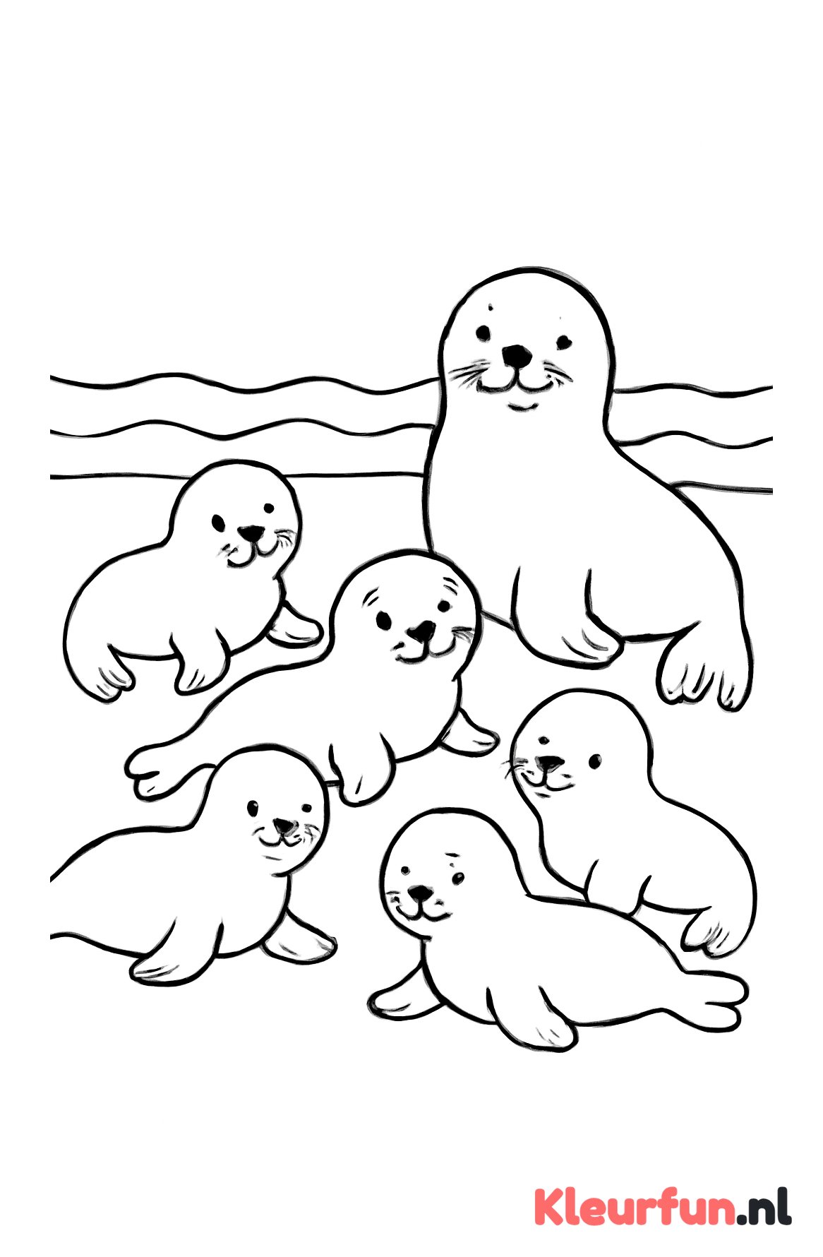 Groep zeehonden op het strand