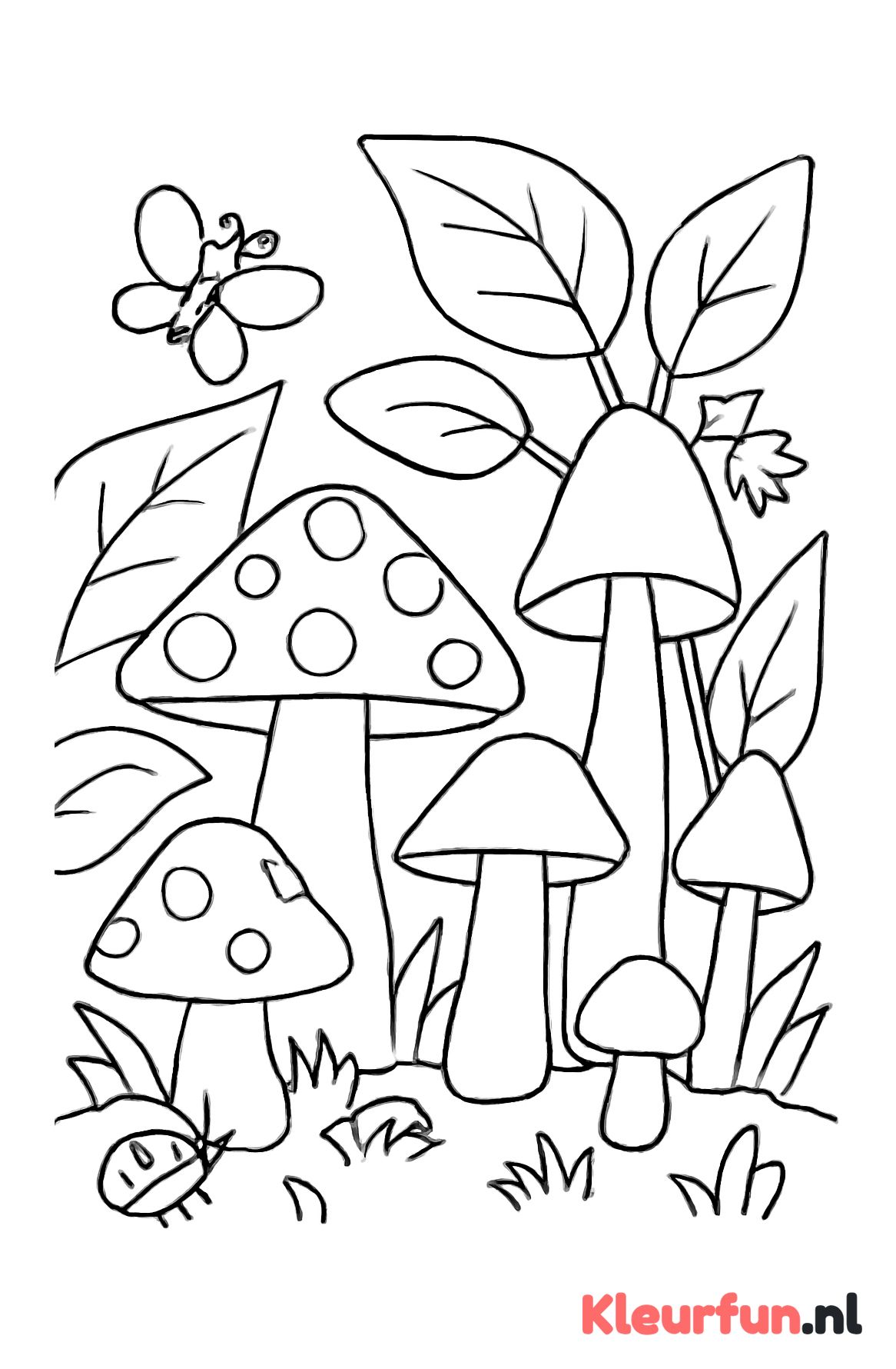 Groep paddenstoelen in het bos