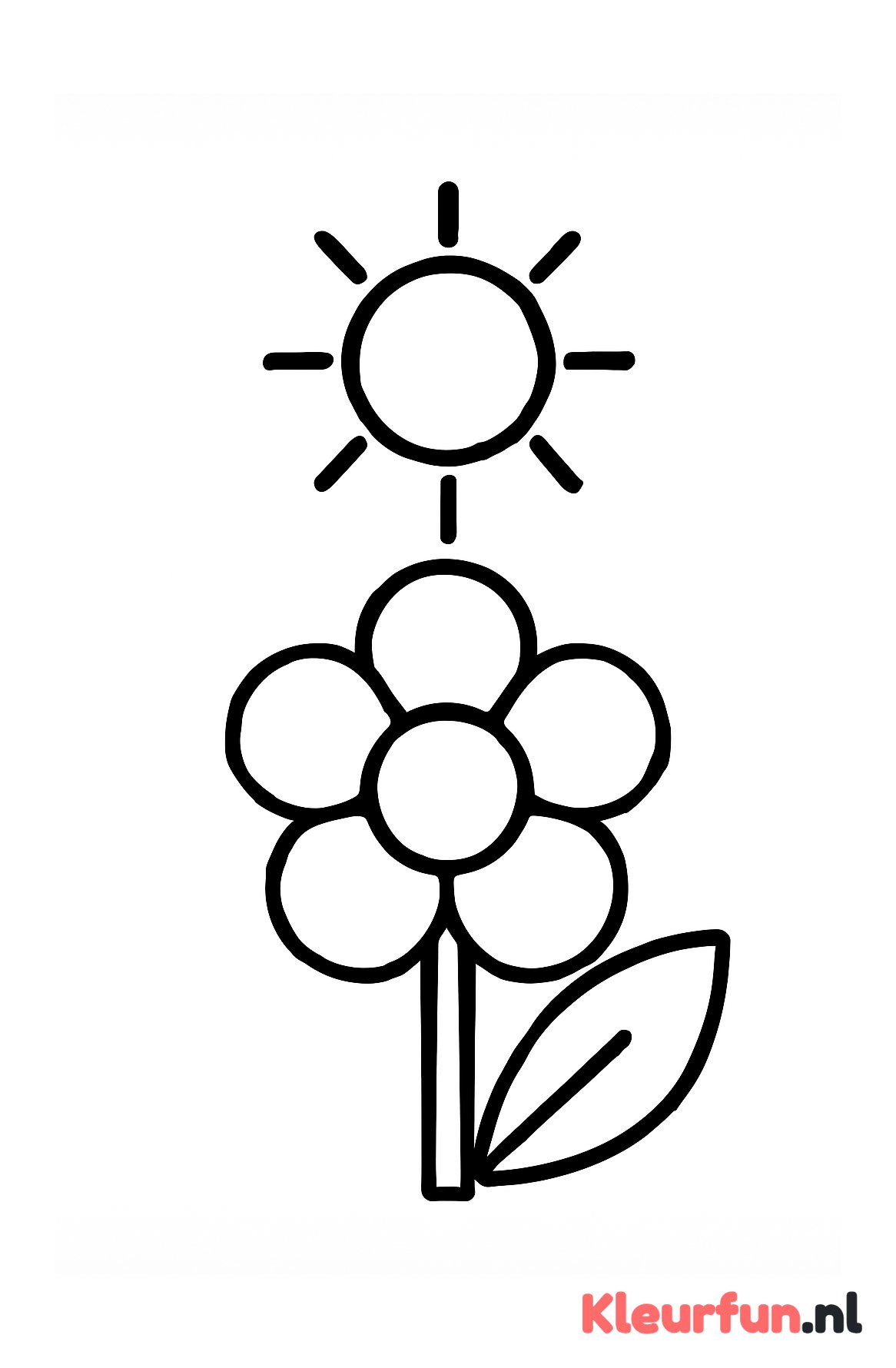 Groot bloemblad en zon