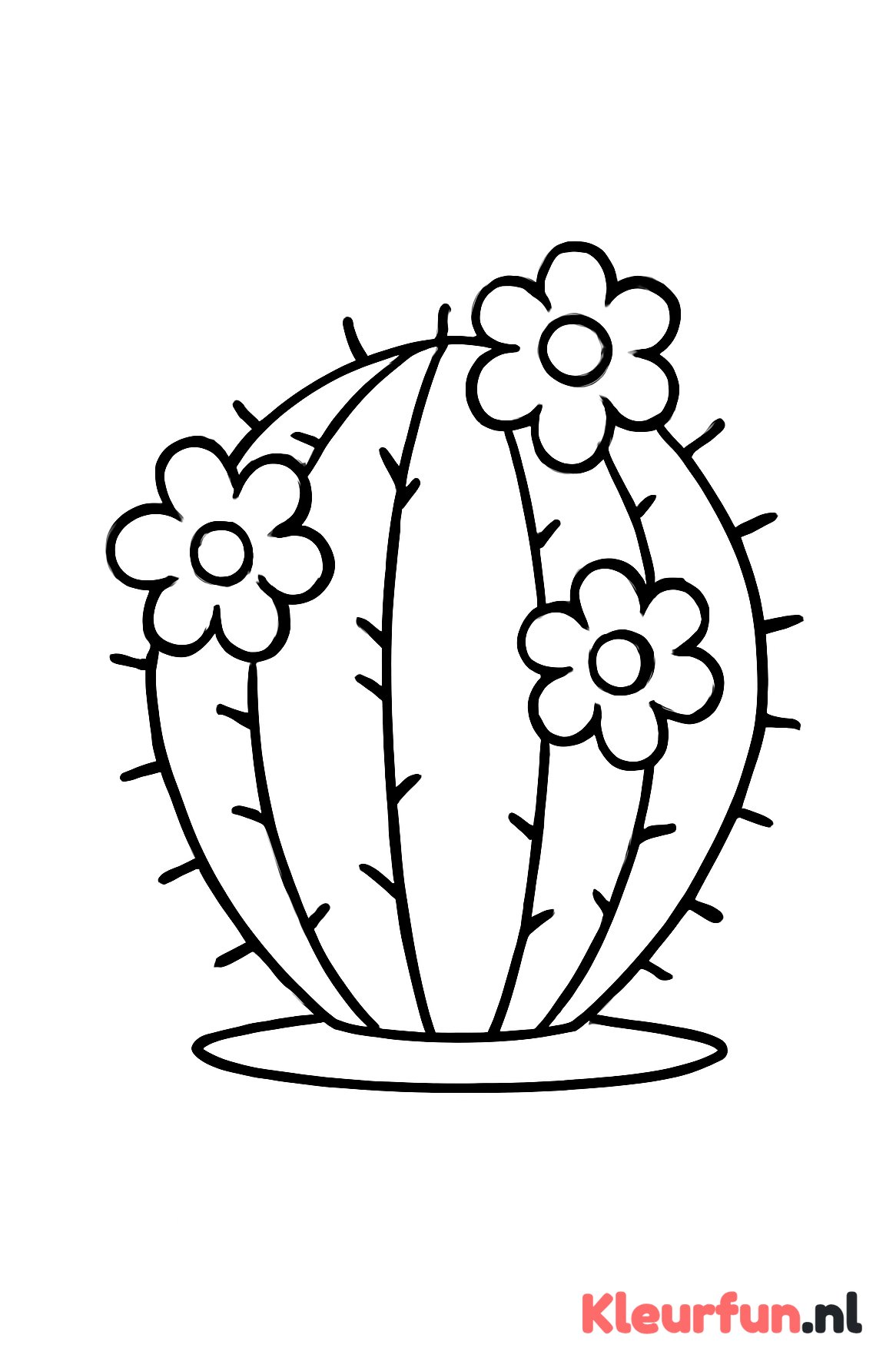 Grote bolcactus met bloemen