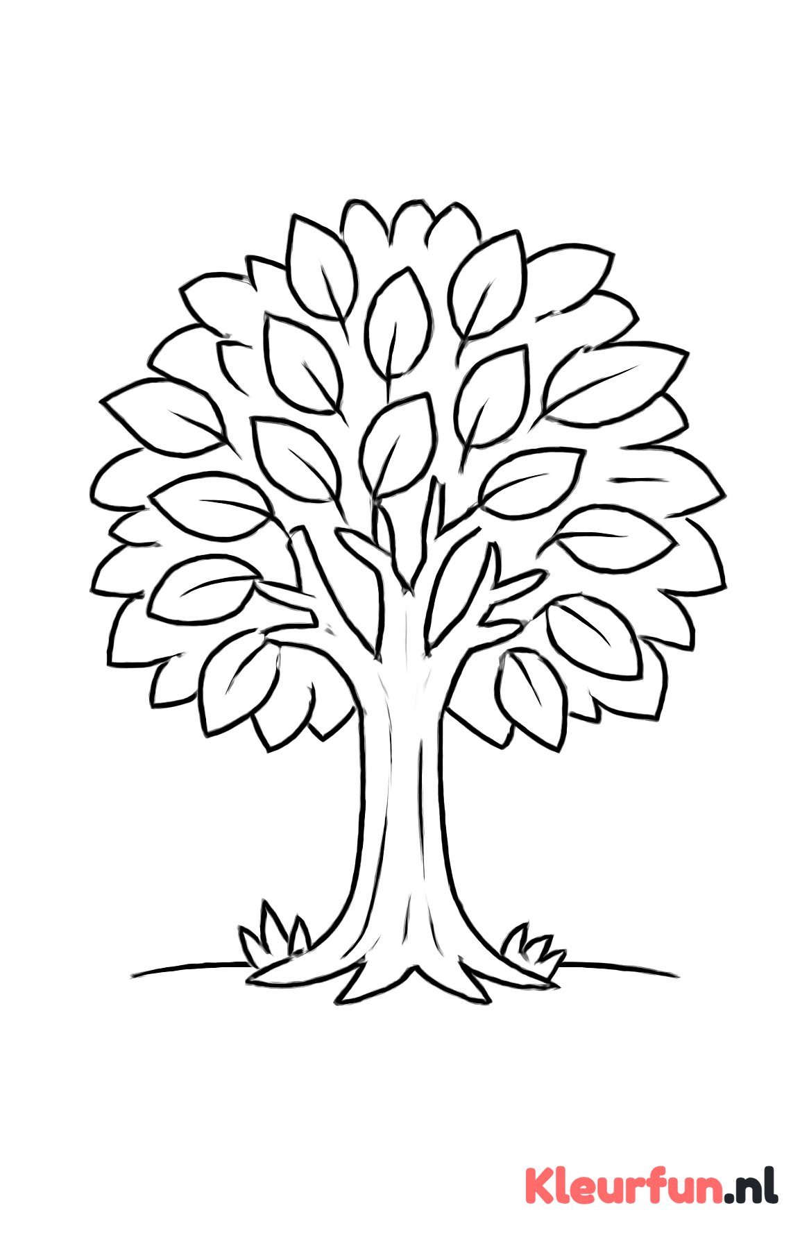 Grote boom met duidelijke bladeren