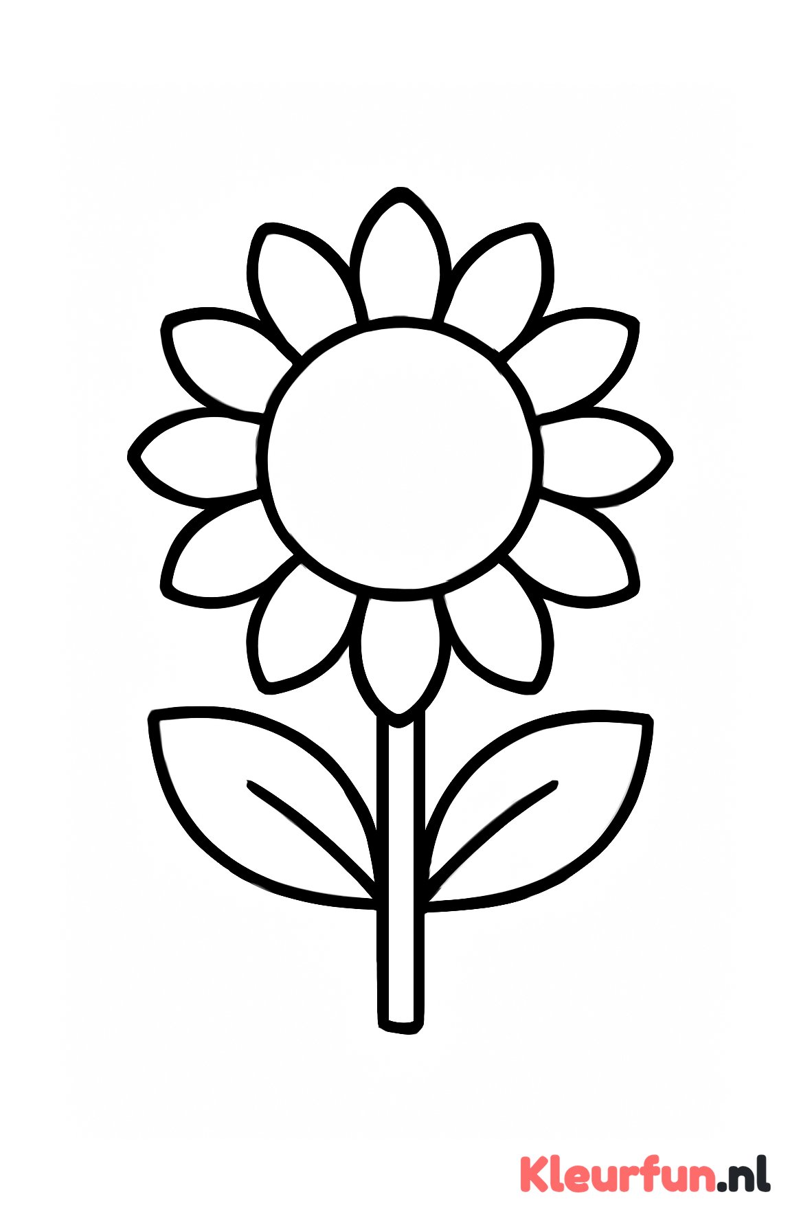 Grote eenmalige zonnebloem