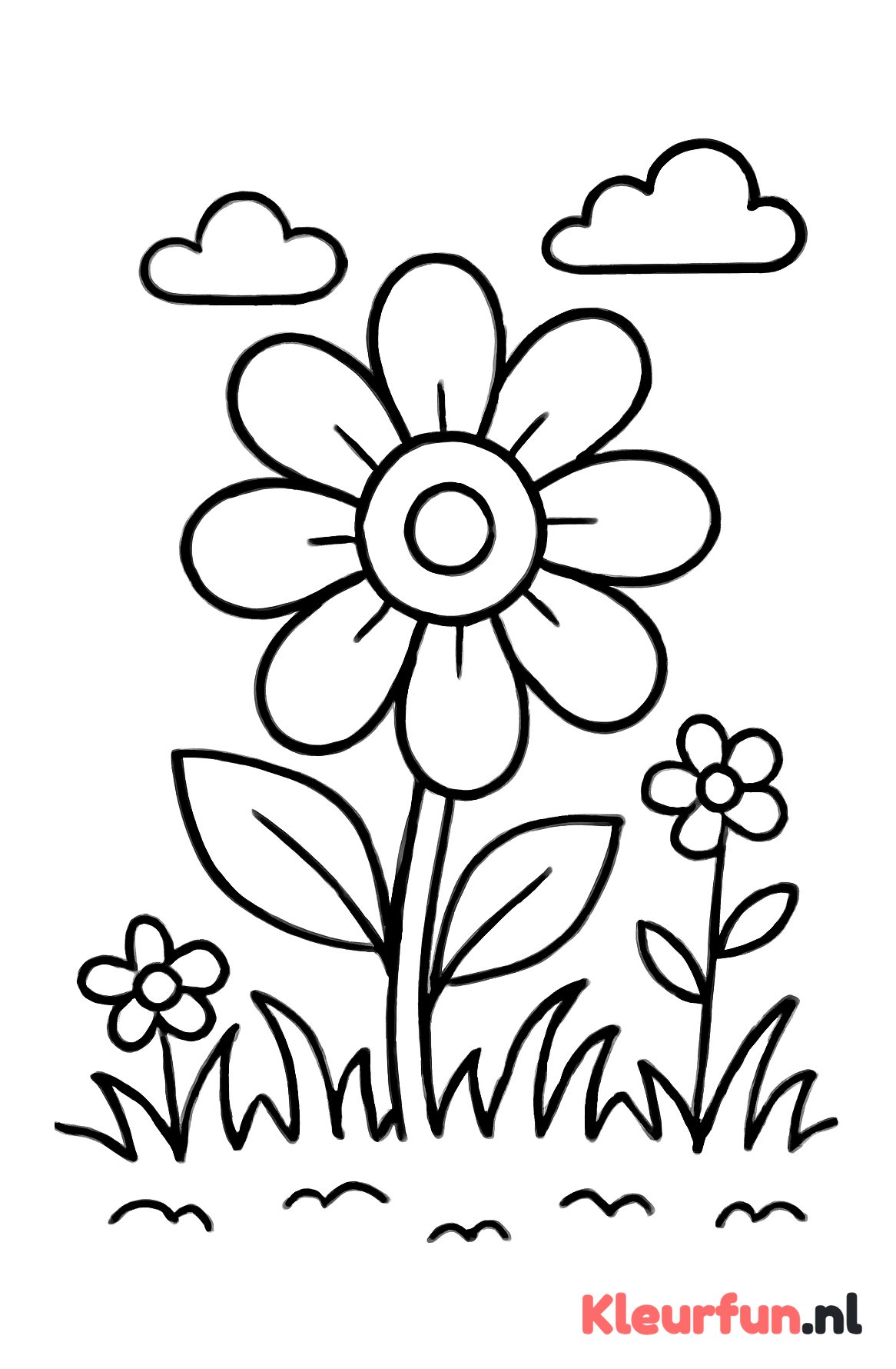 Grote eenvoudige bloem in tuin