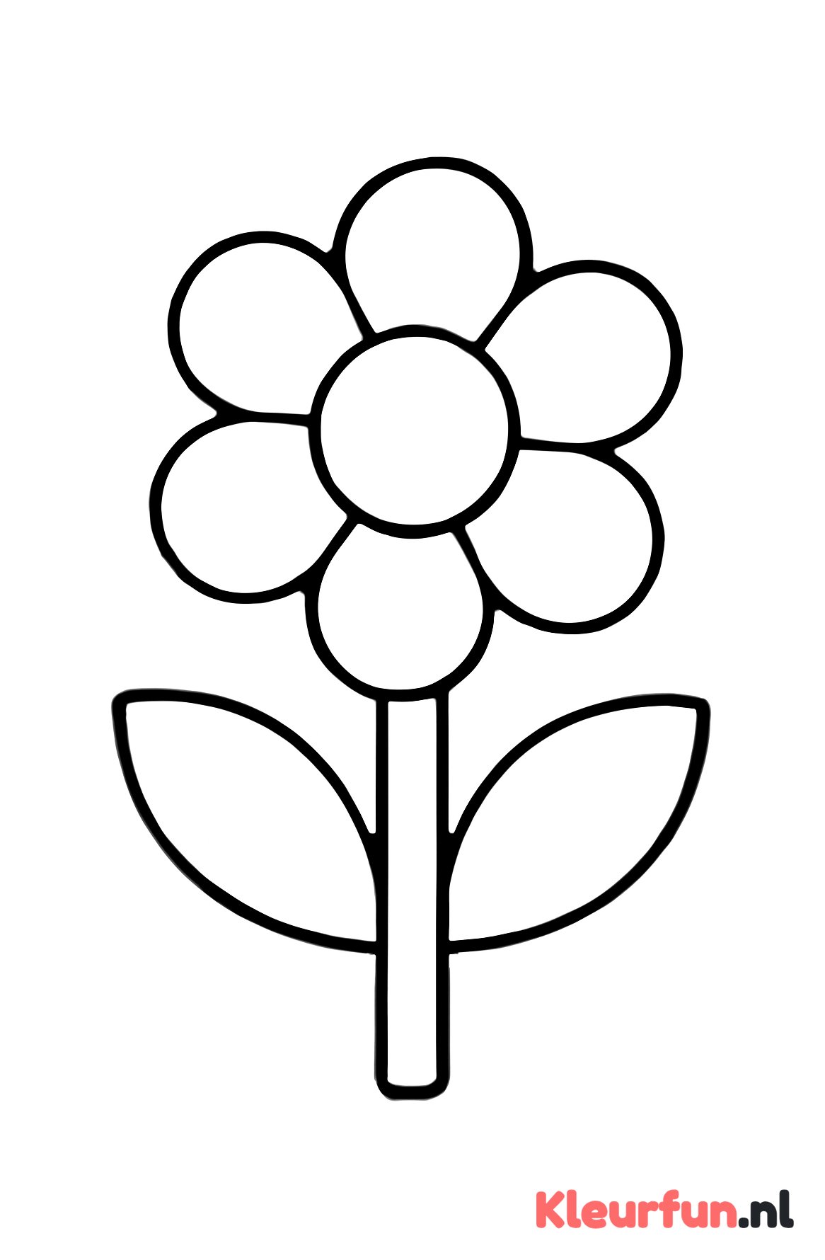 Grote eenvoudige bloem