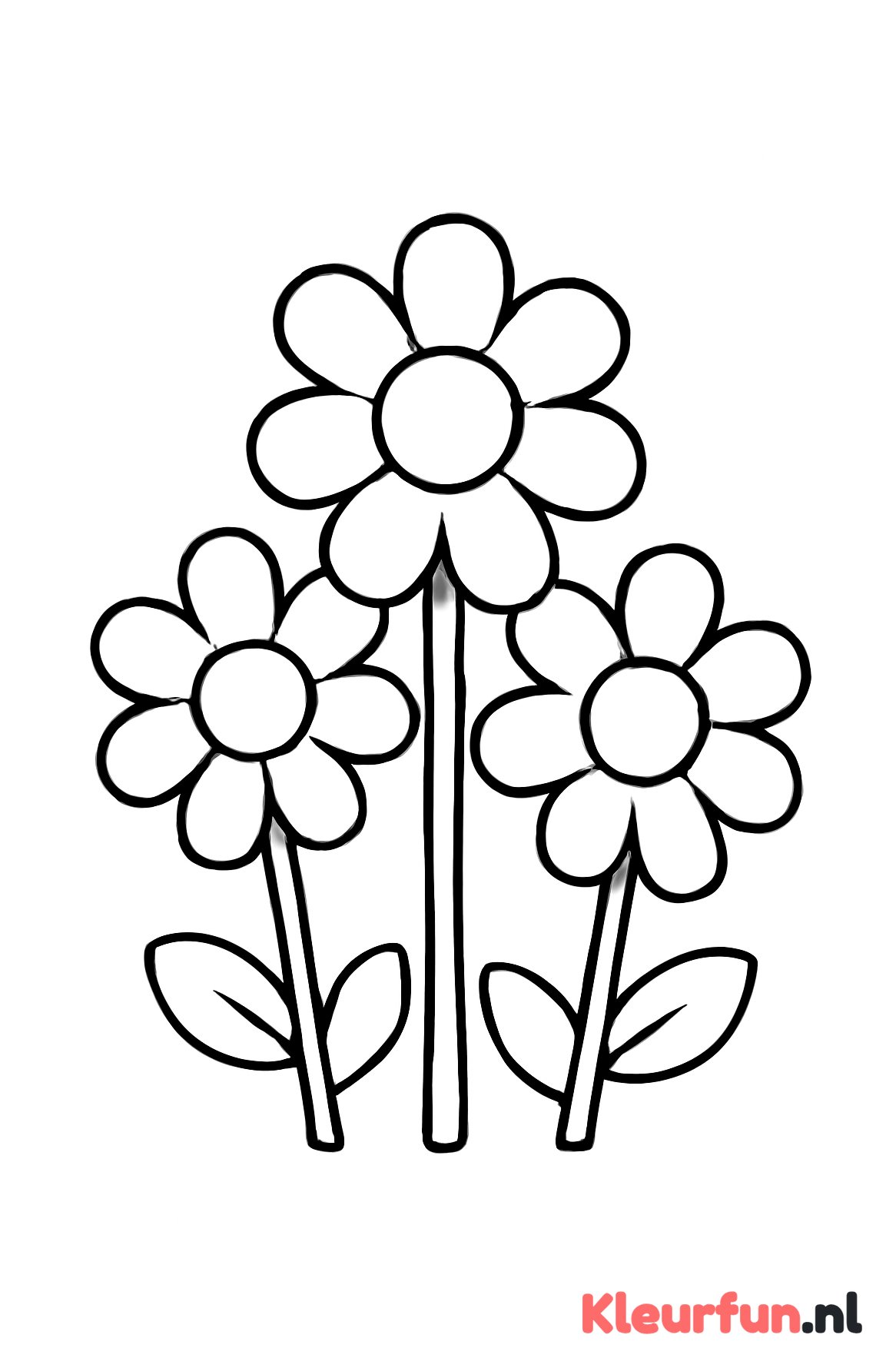 Grote eenvoudige bloemen