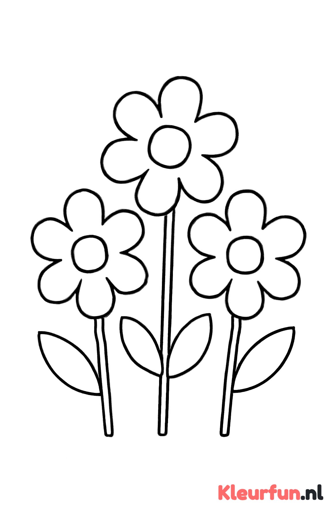 Drie grote eenvoudige bloemen