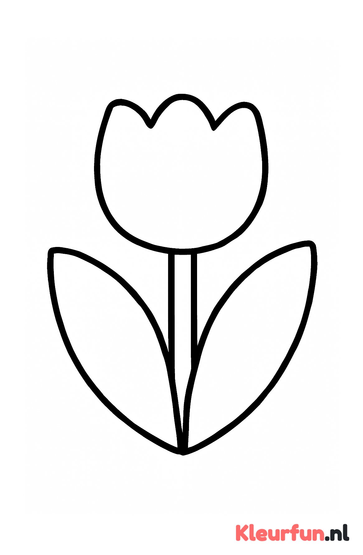Grote eenvoudige tulp