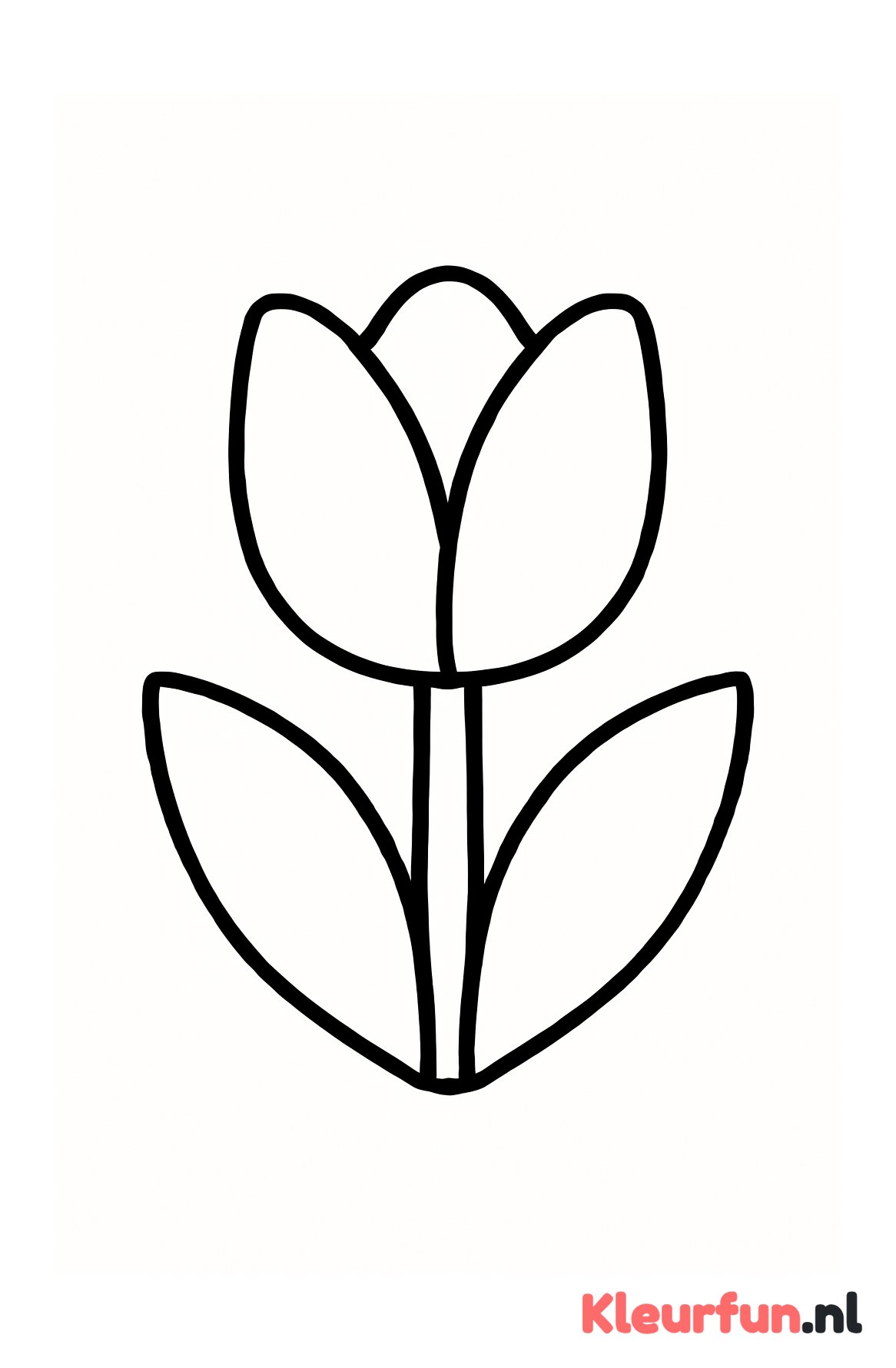 Grote eenvoudige tulp