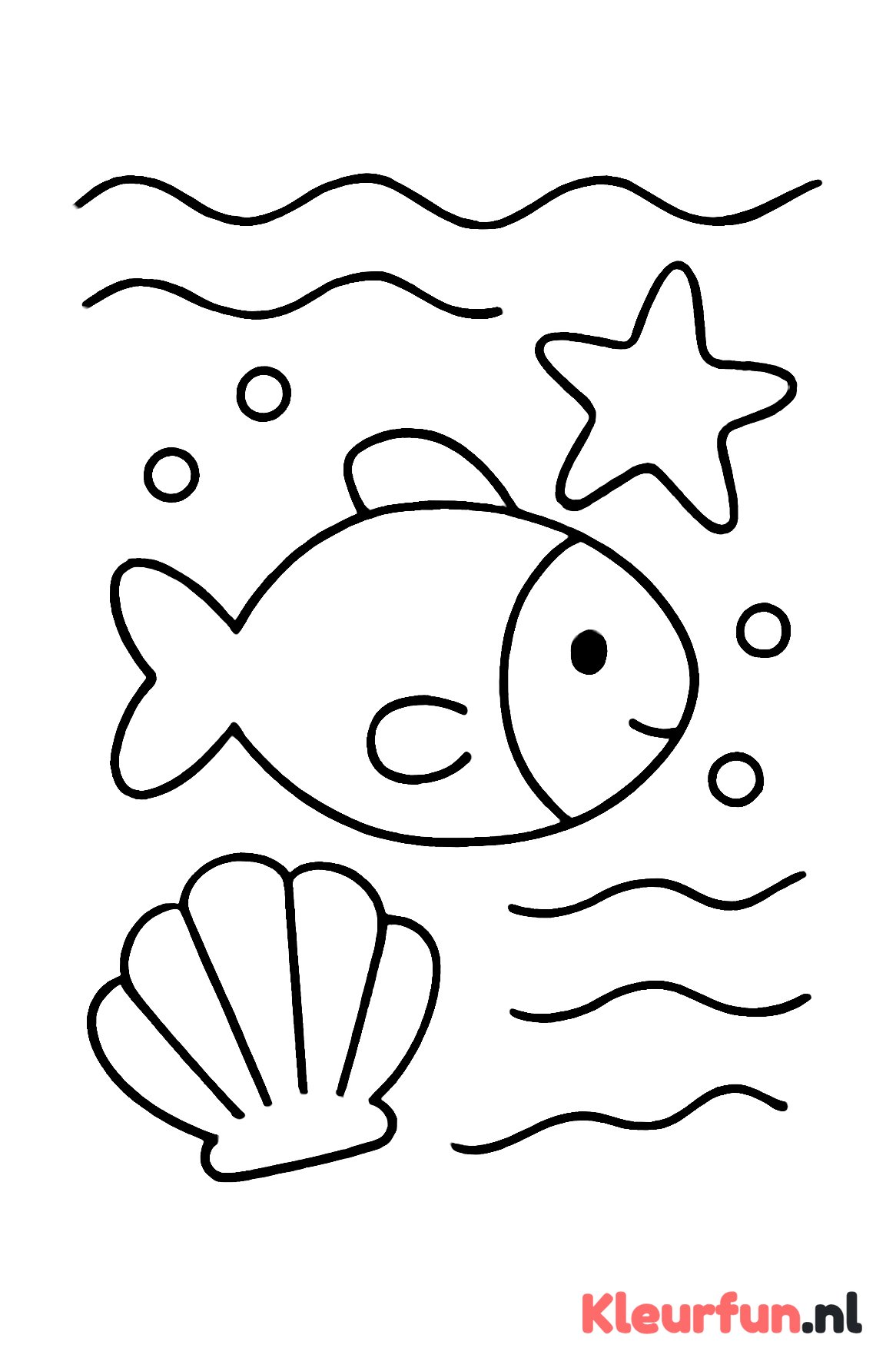 Grote en eenvoudige zeedieren