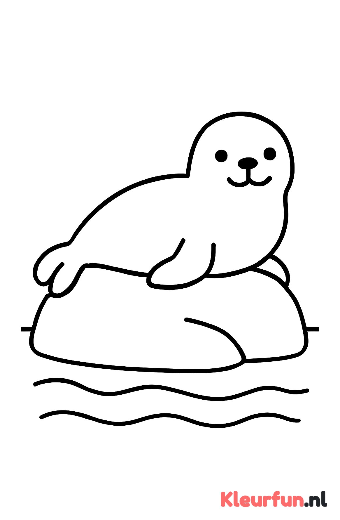 Eenvoudige zeehond op rots