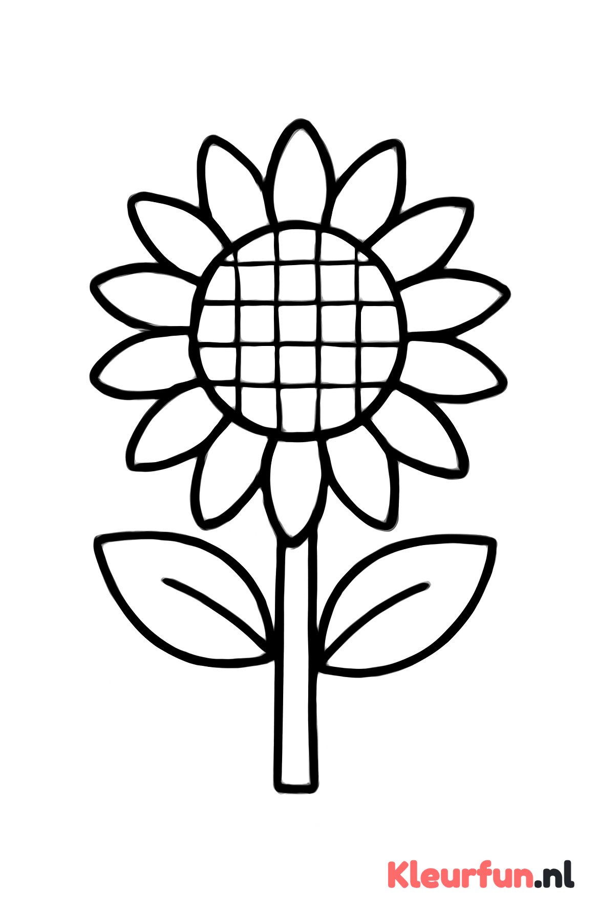 Grote eenvoudige zonnebloem