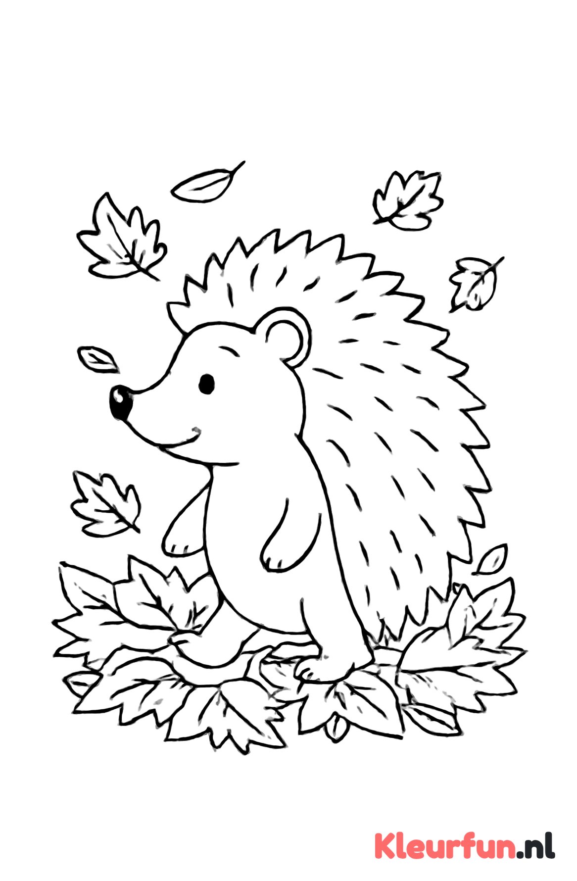 Egel in de herfstbladeren